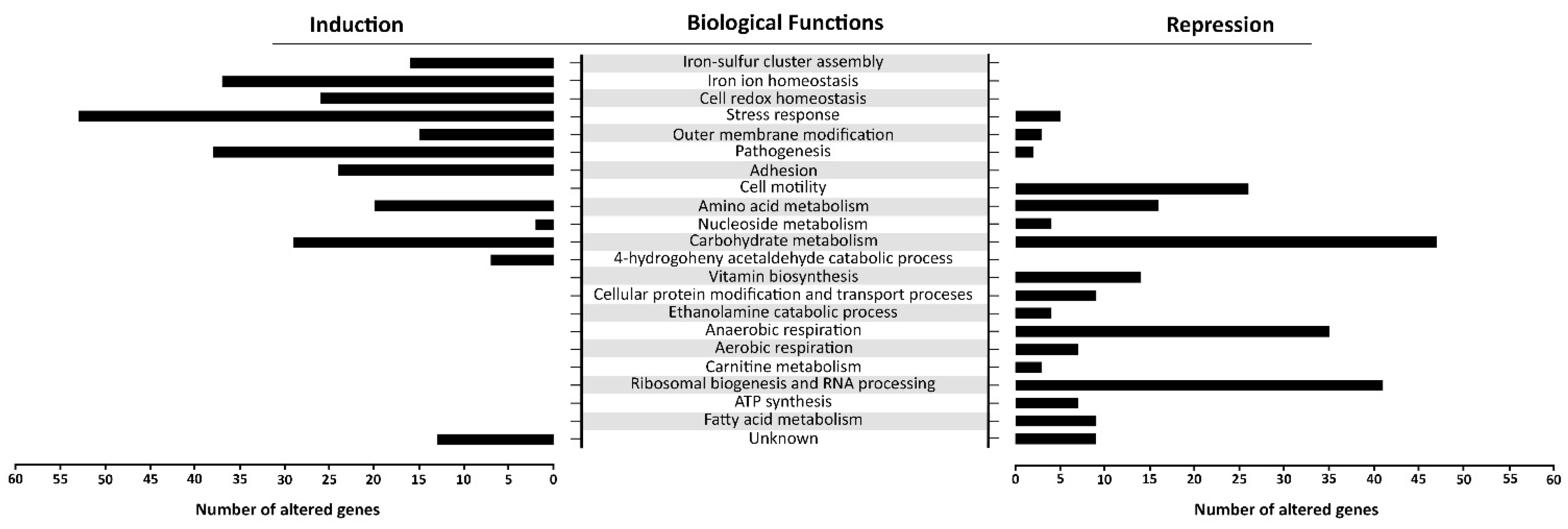 Antioxidants 09 00849 g006