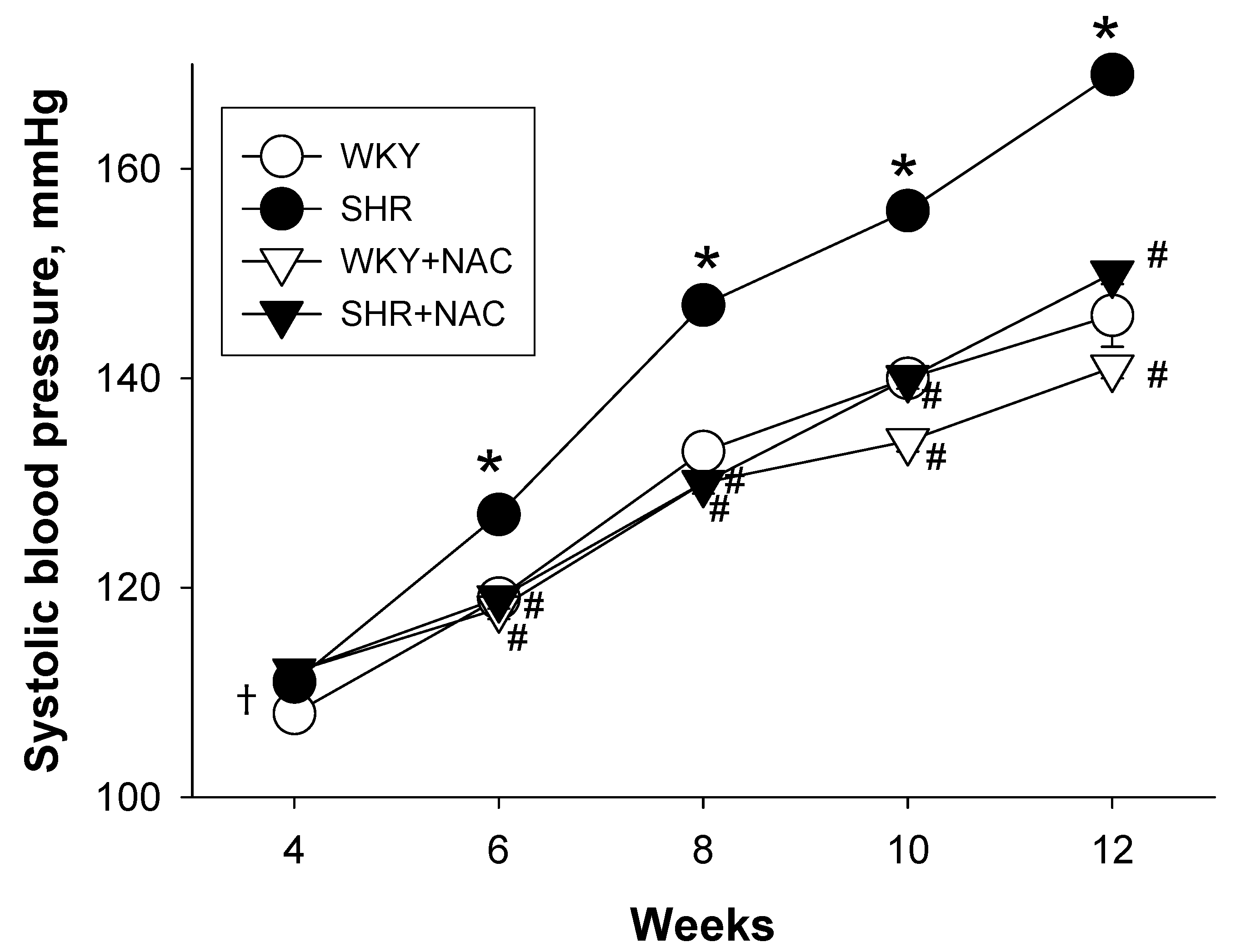 Antioxidants 09 00856 g001