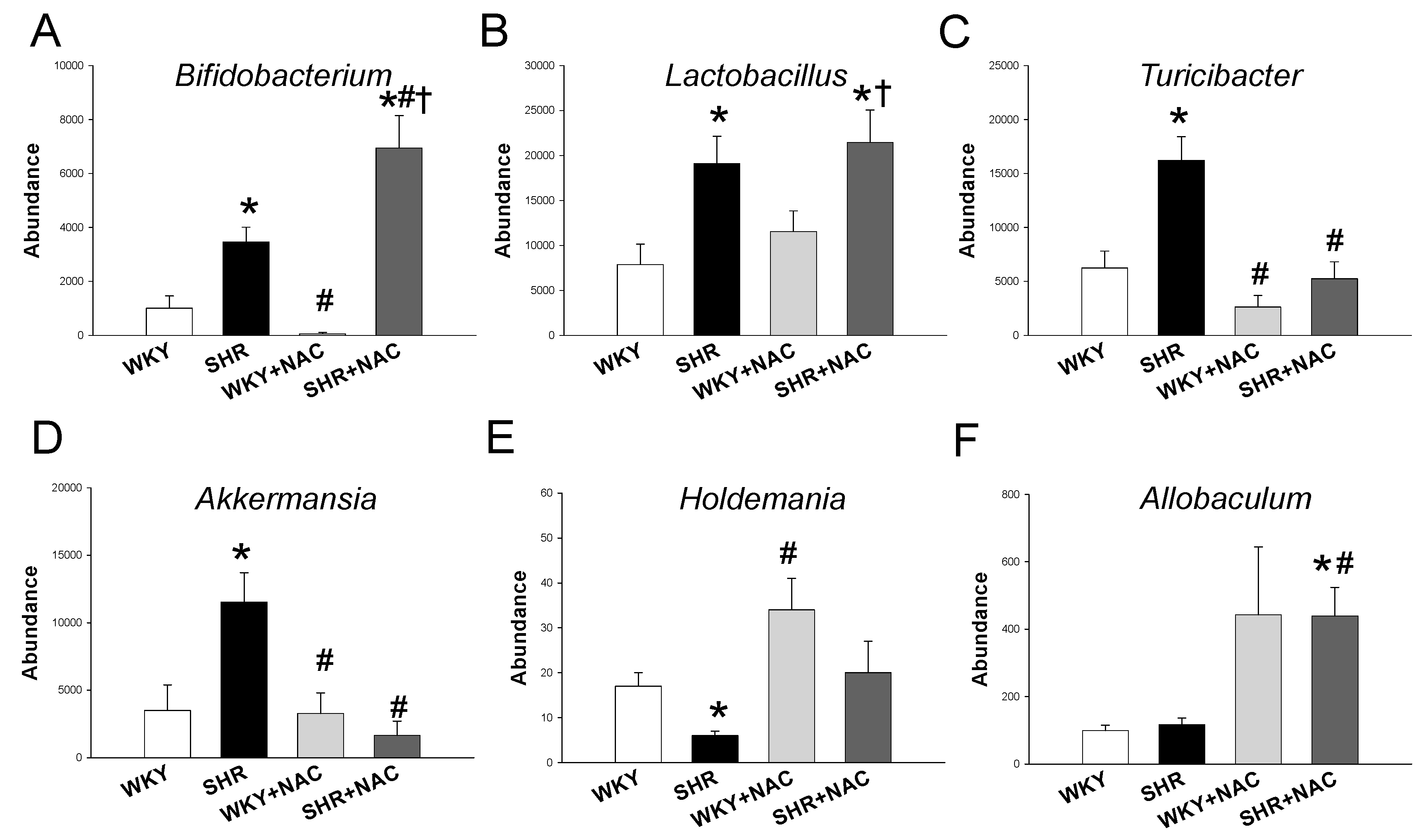 Antioxidants 09 00856 g006