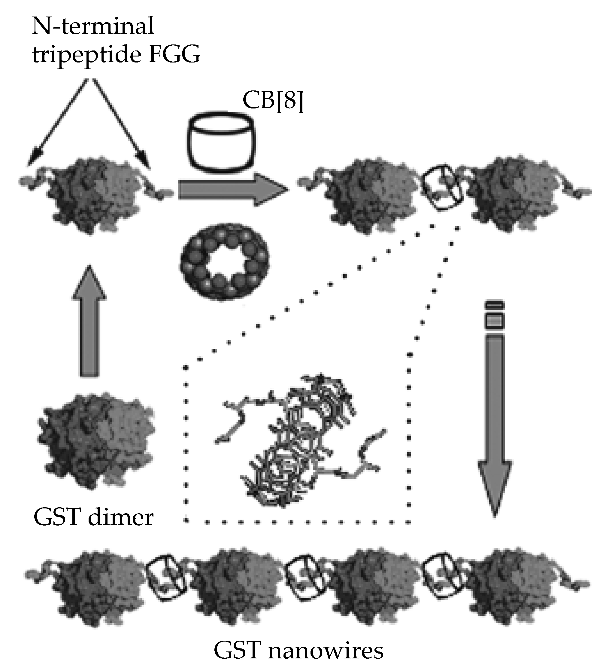 Antioxidants 09 00859 g010 Antioxidants 09 00859 g010