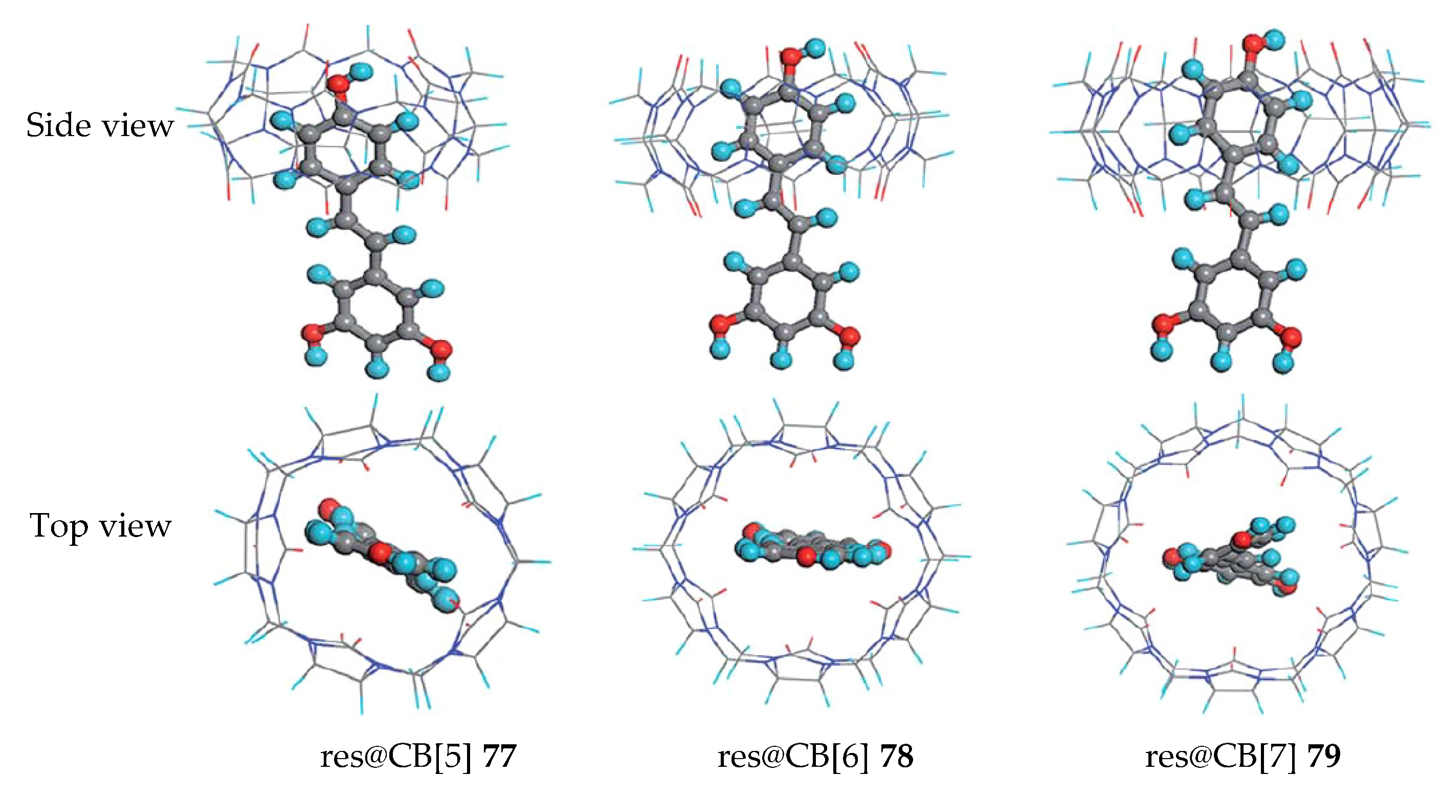 Antioxidants 09 00859 g011 Antioxidants 09 00859 g011