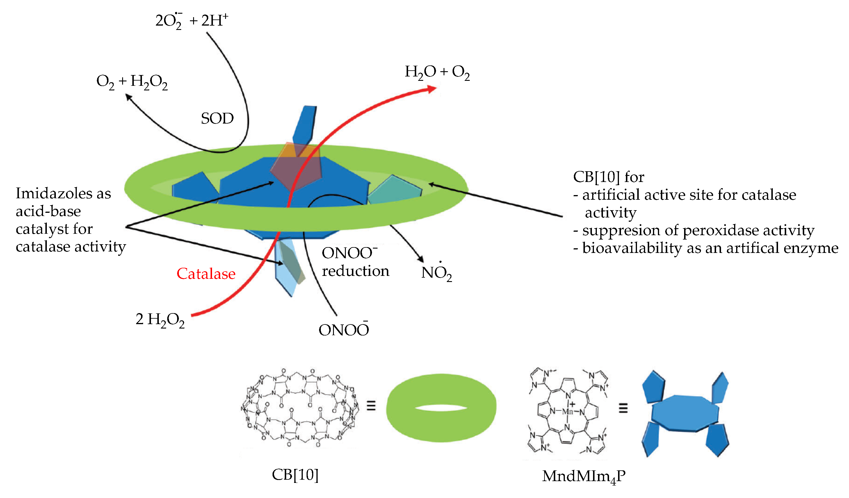Antioxidants 09 00859 g012 Antioxidants 09 00859 g012