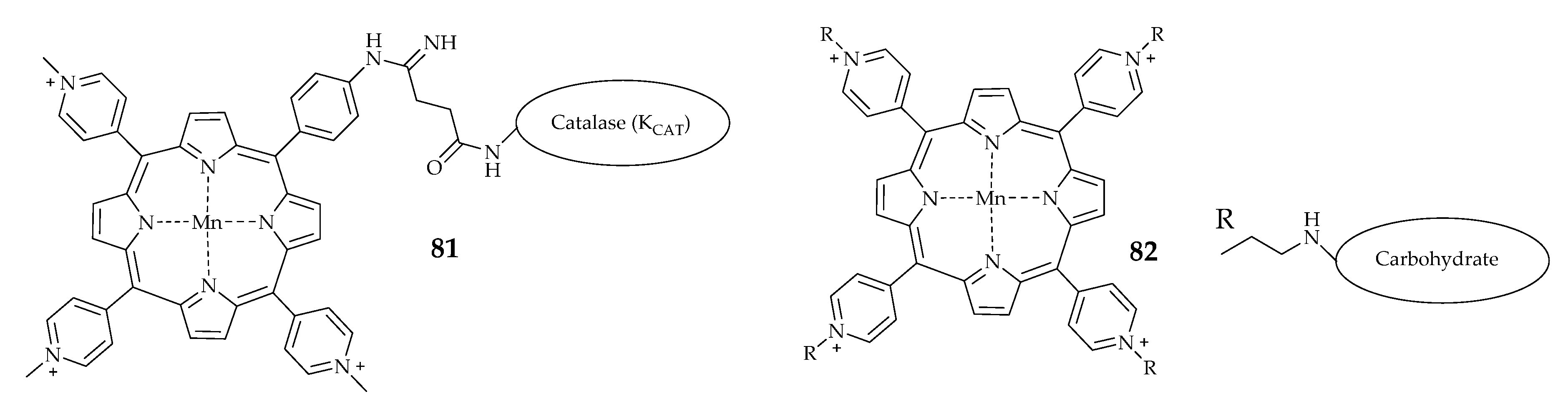 Antioxidants 09 00859 g013 Antioxidants 09 00859 g013