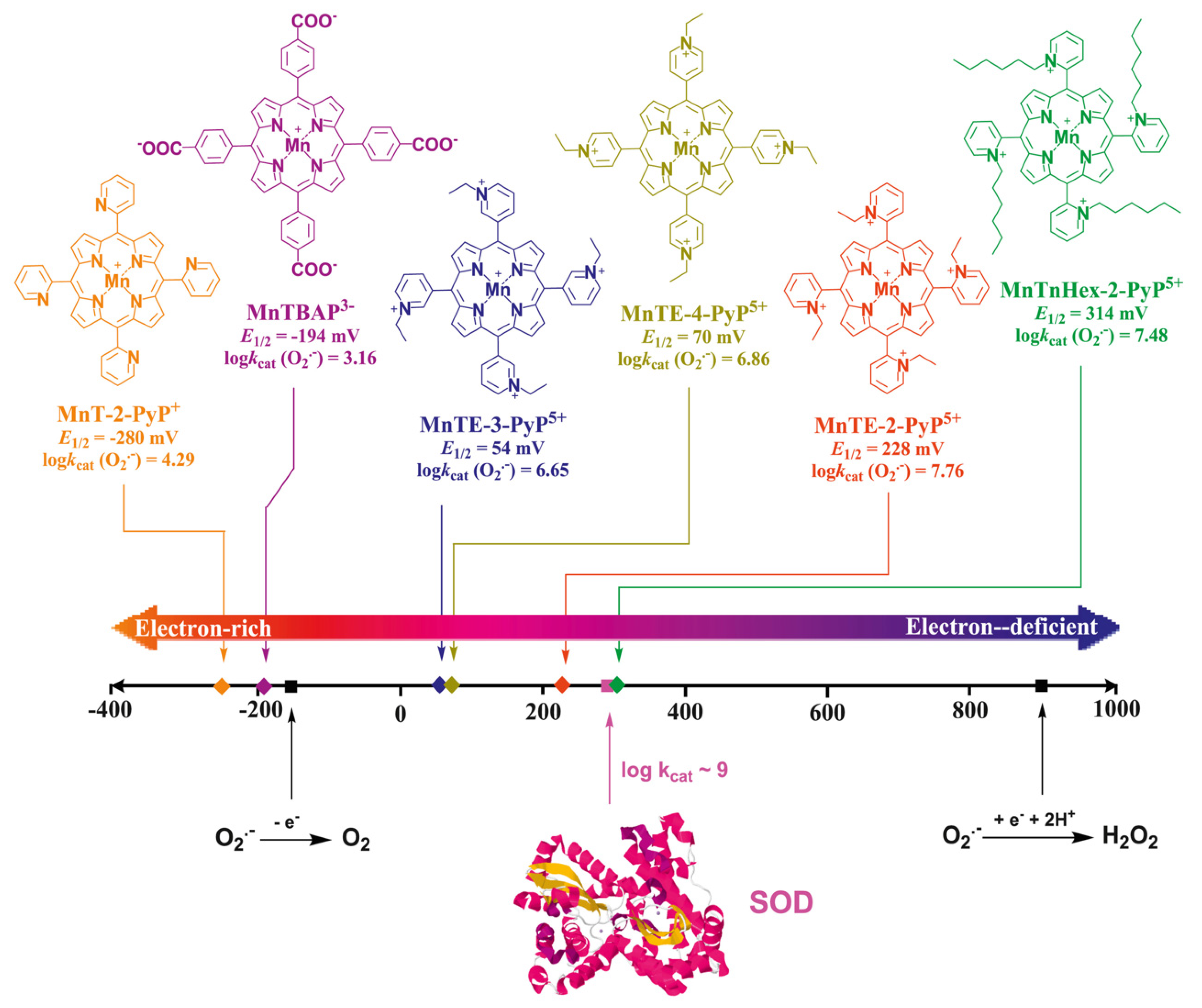 Antioxidants 09 00859 g015 Antioxidants 09 00859 g015