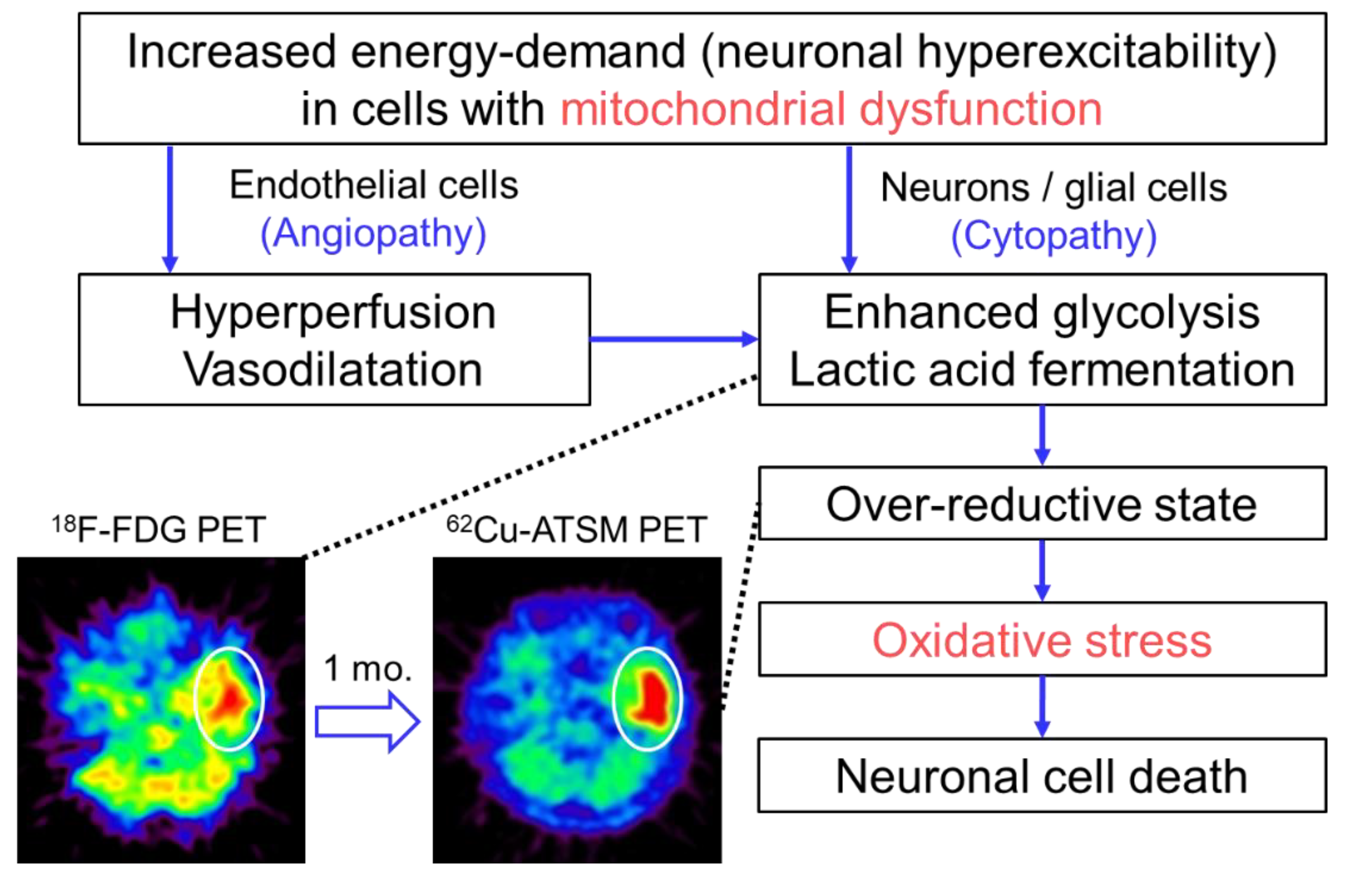Antioxidants 09 00861 g002