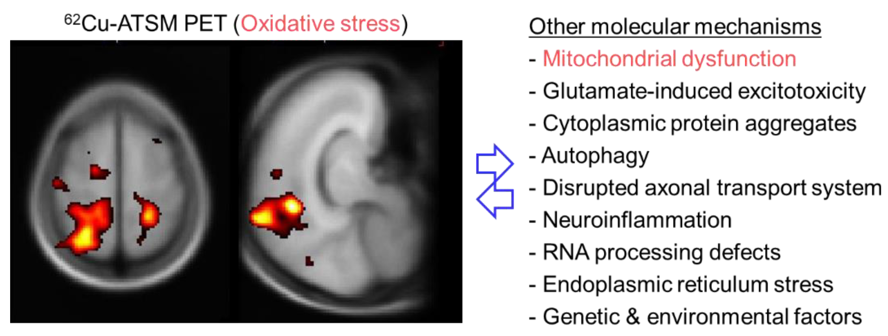 Antioxidants 09 00861 g004