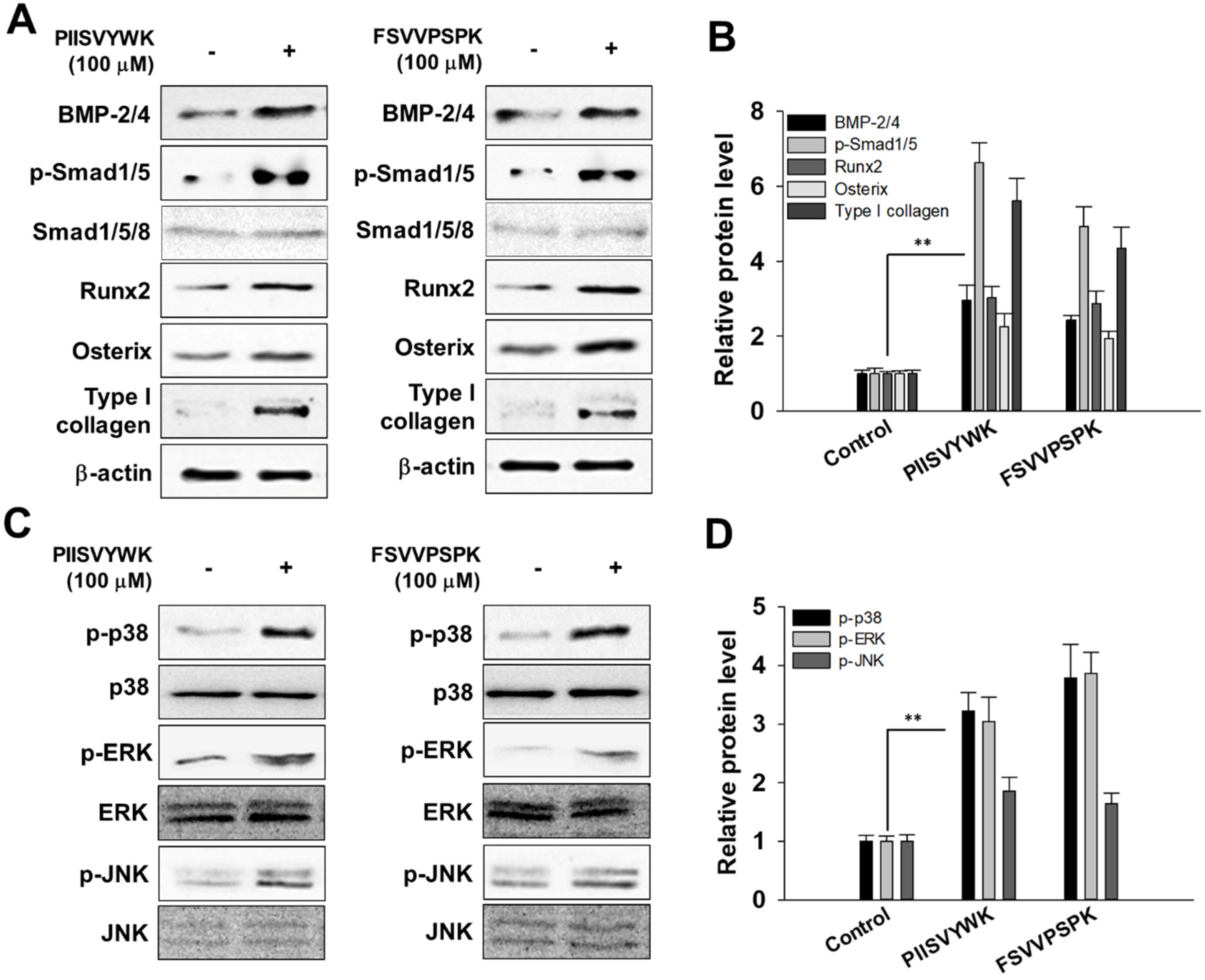 Antioxidants 09 00866 g002