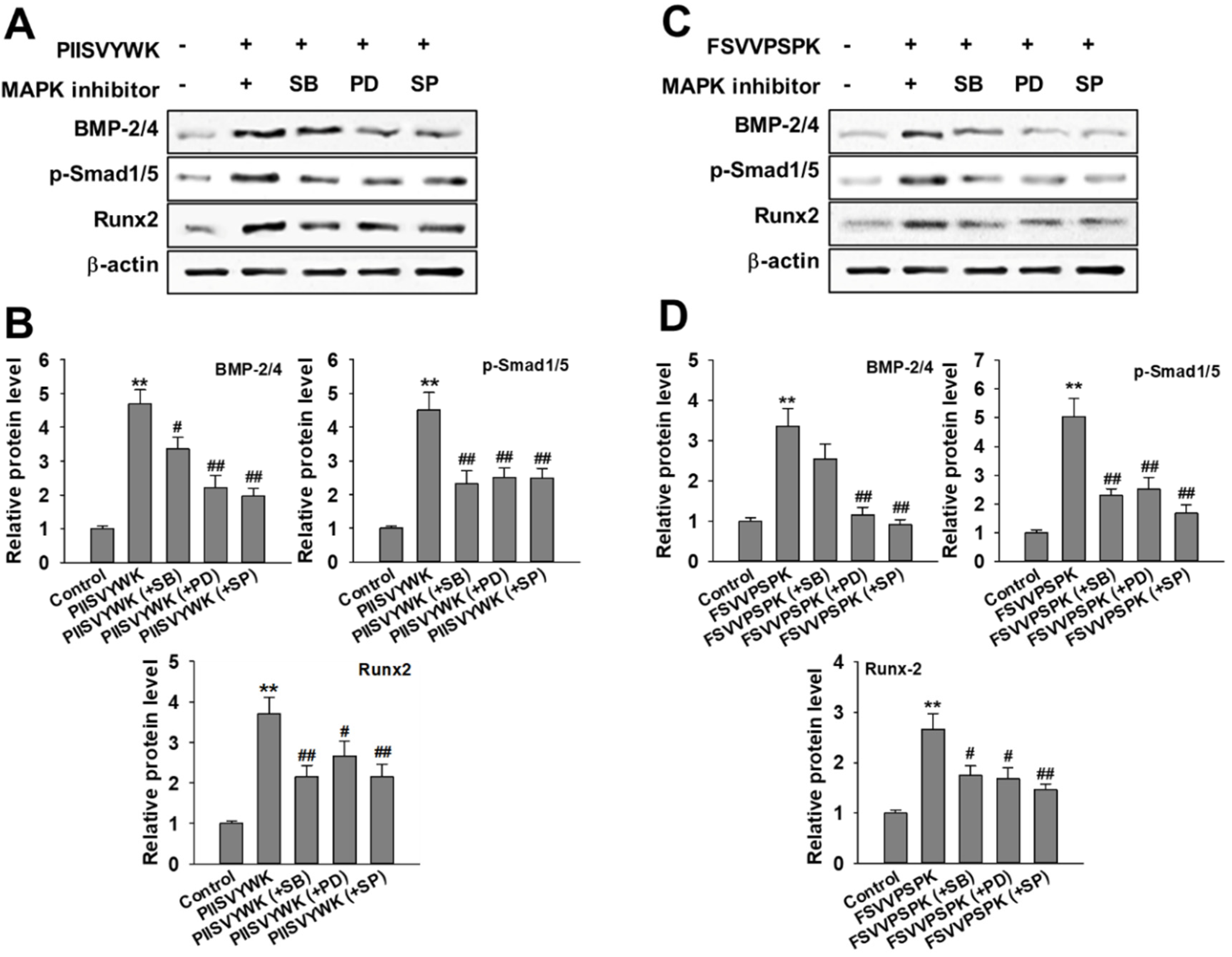 Antioxidants 09 00866 g003