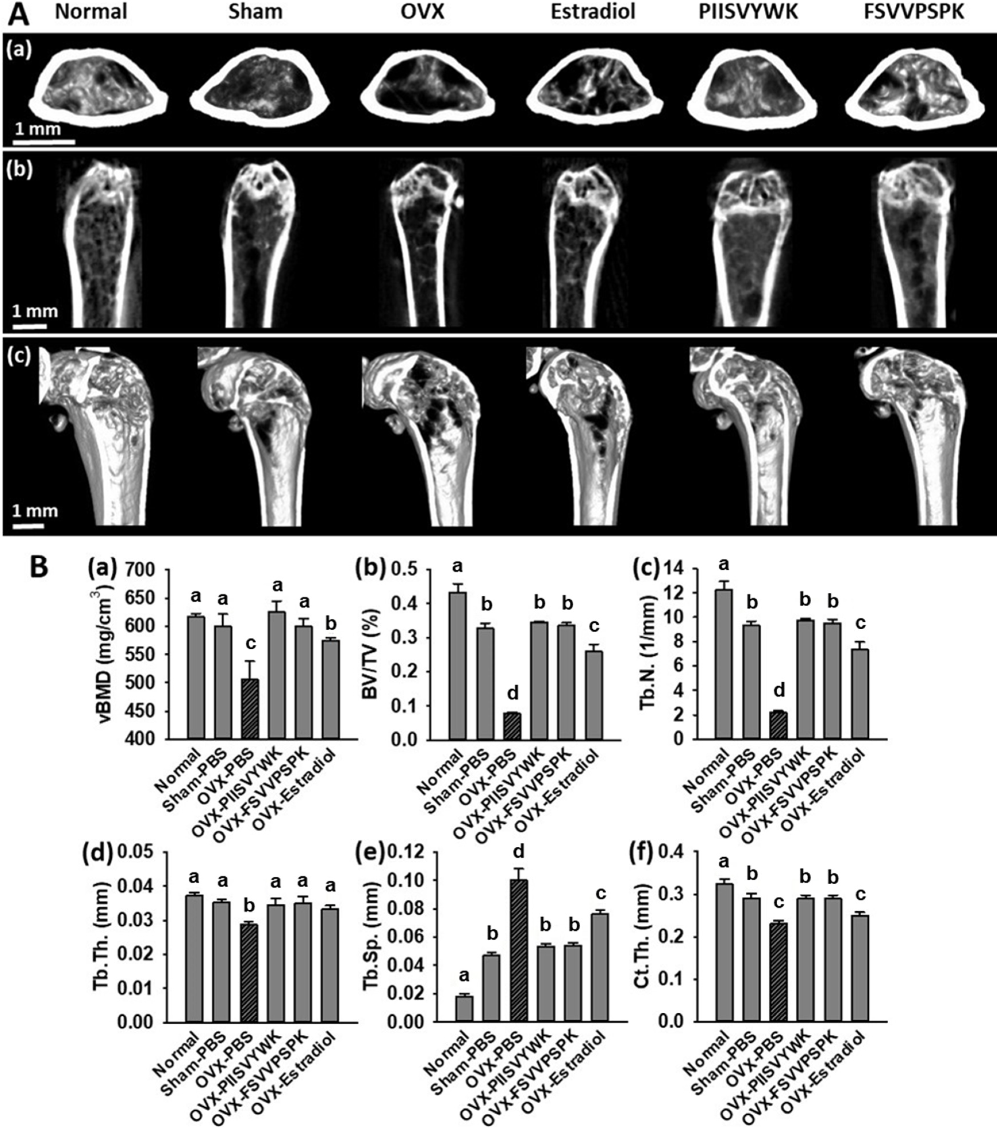 Antioxidants 09 00866 g005