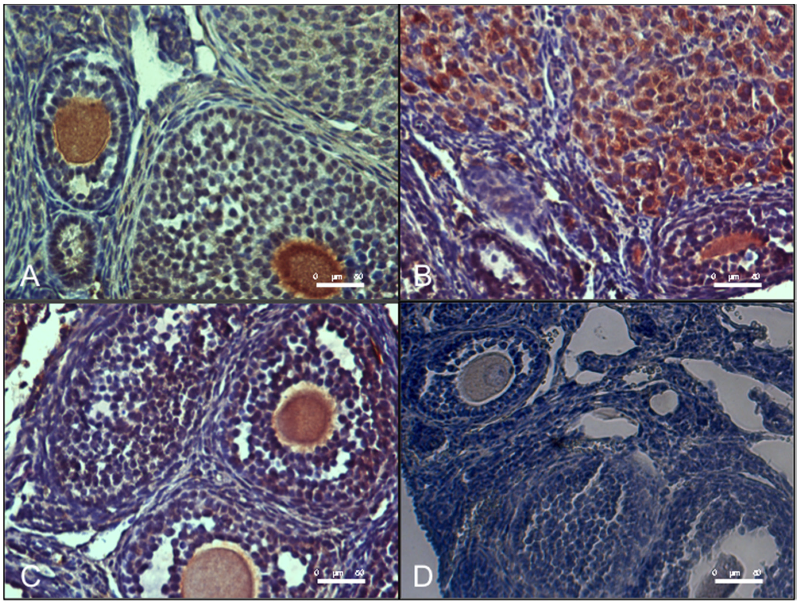 Antioxidants 09 00867 g006 Antioxidants 09 00867 g006