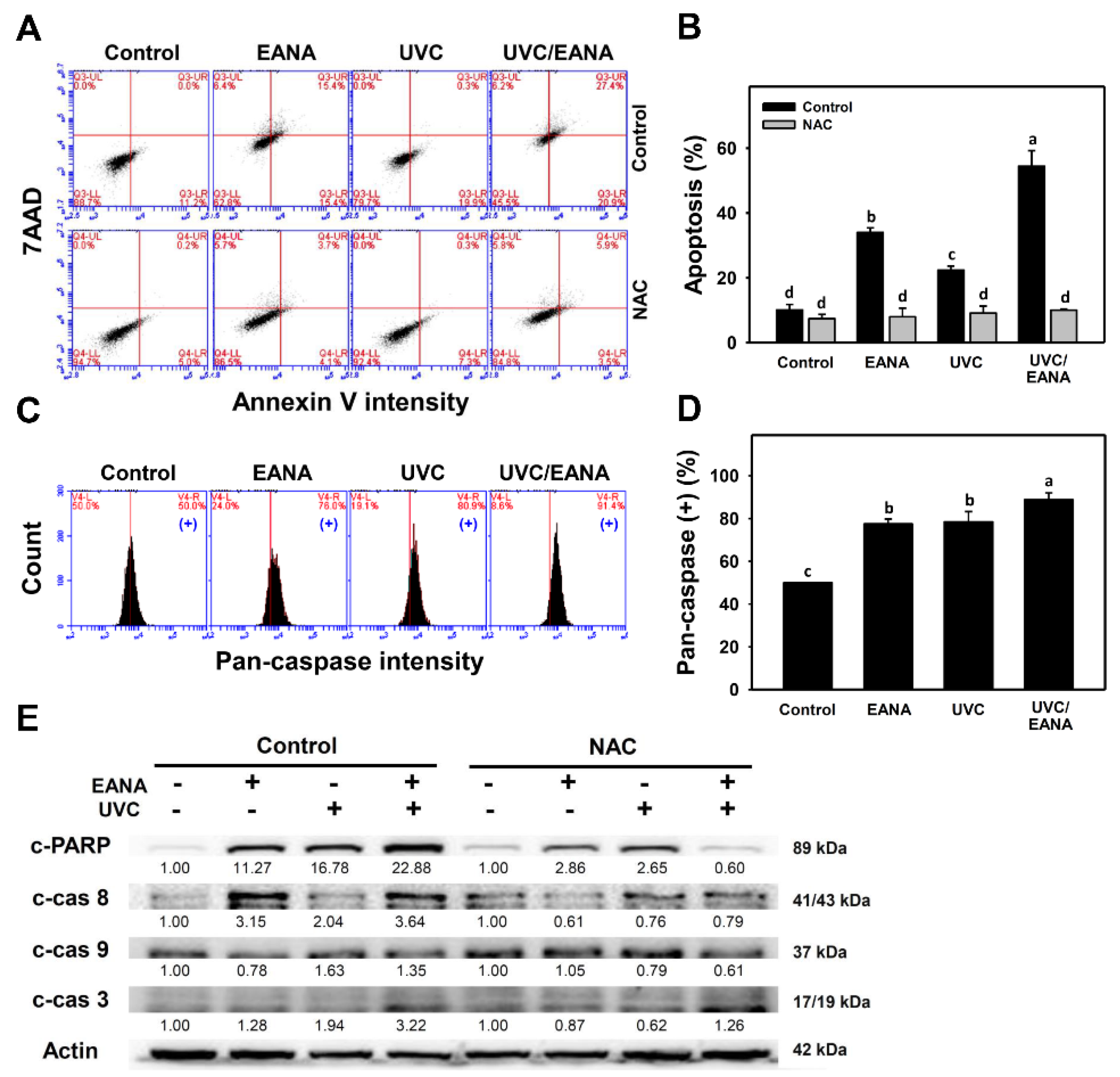 Antioxidants 09 00876 g003 Antioxidants 09 00876 g003