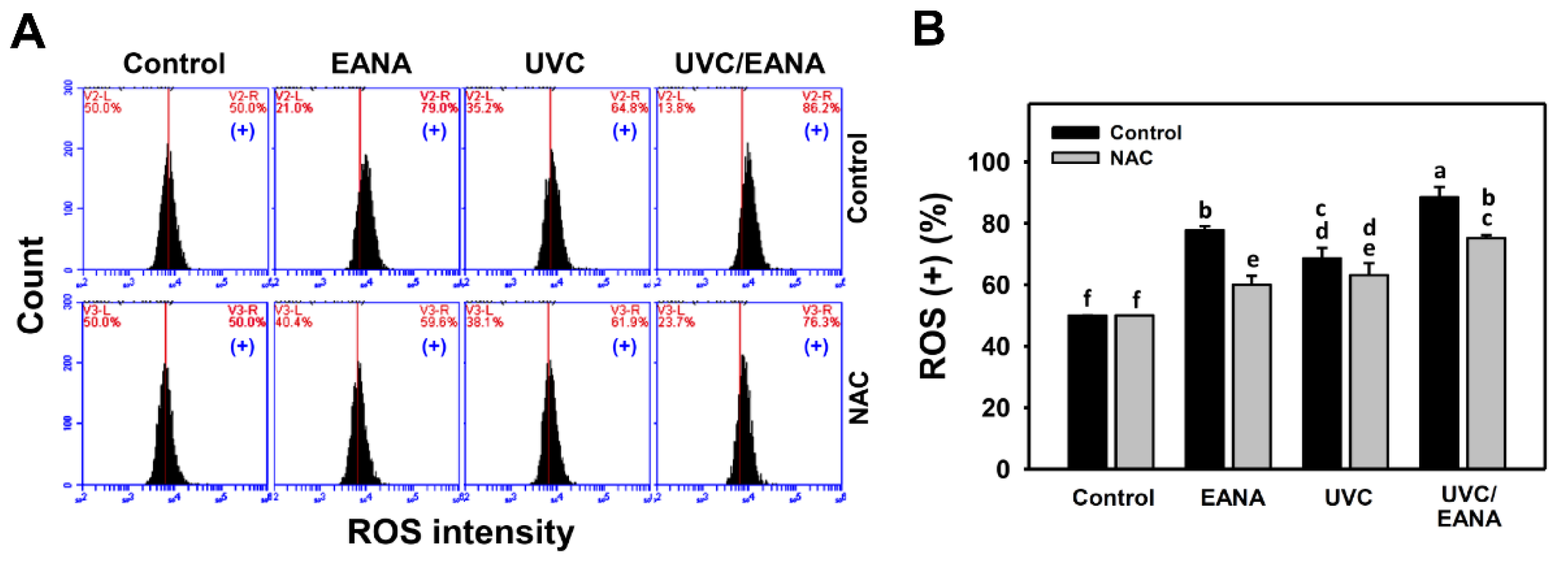 Antioxidants 09 00876 g004 Antioxidants 09 00876 g004
