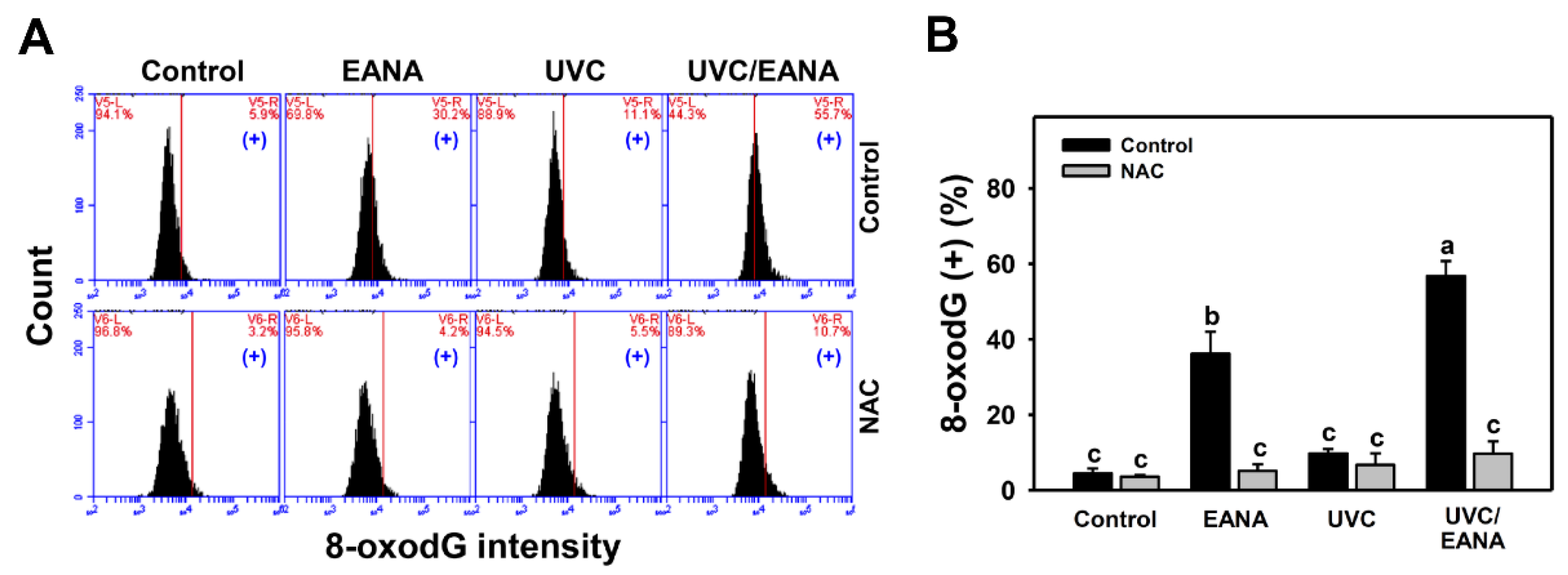 Antioxidants 09 00876 g009 Antioxidants 09 00876 g009