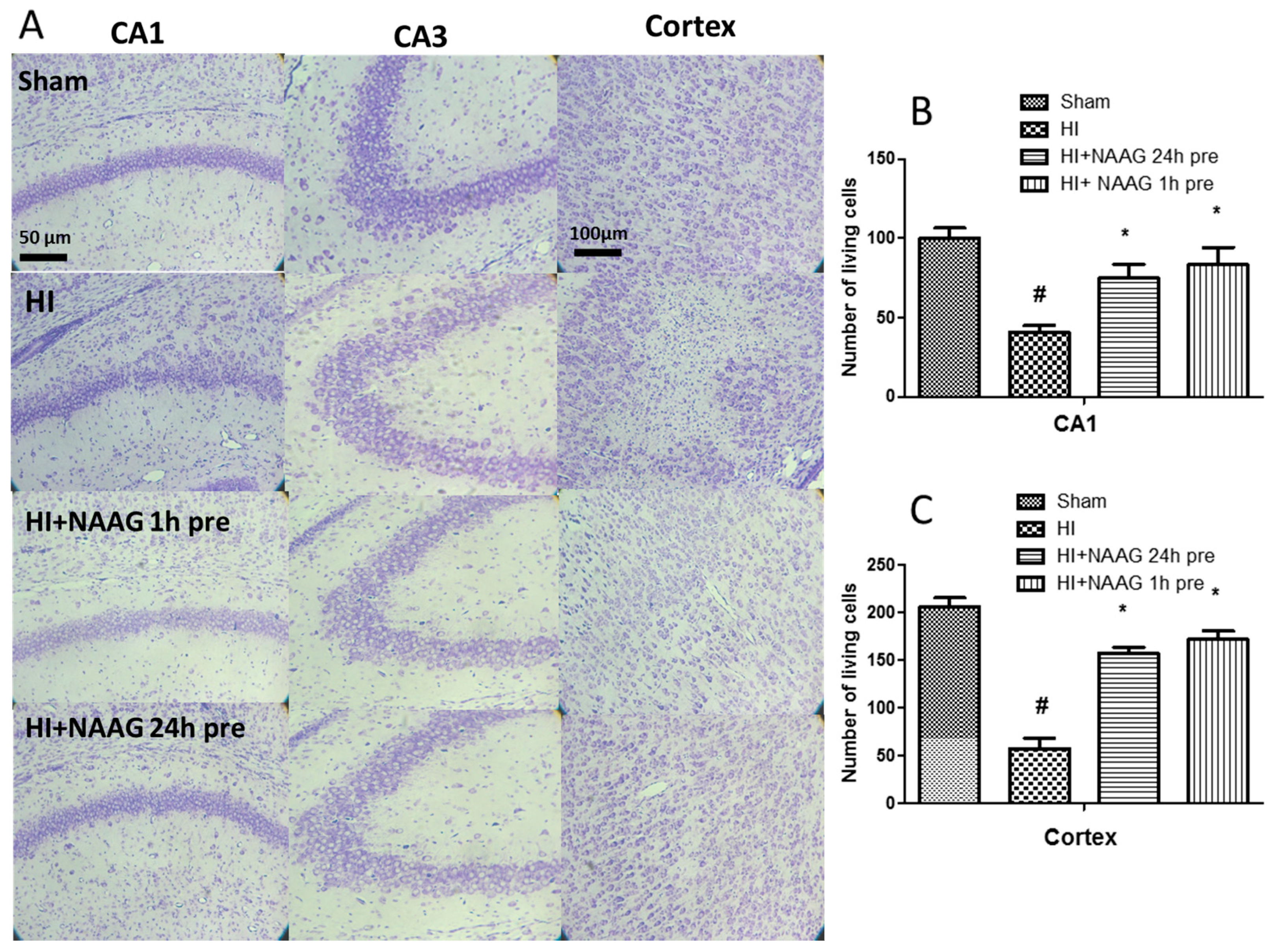 Antioxidants 09 00877 g002