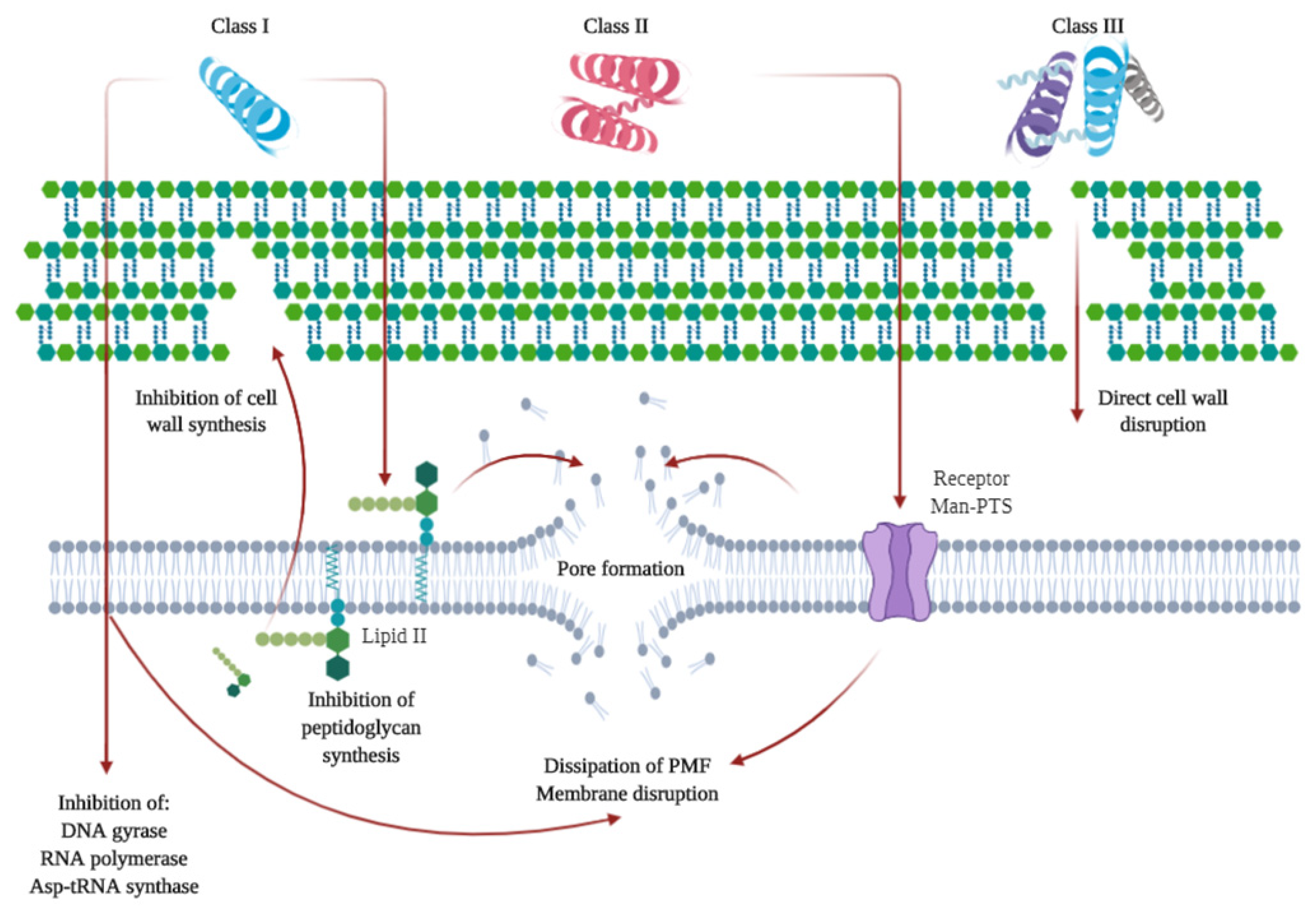 Antioxidants 09 00882 g003