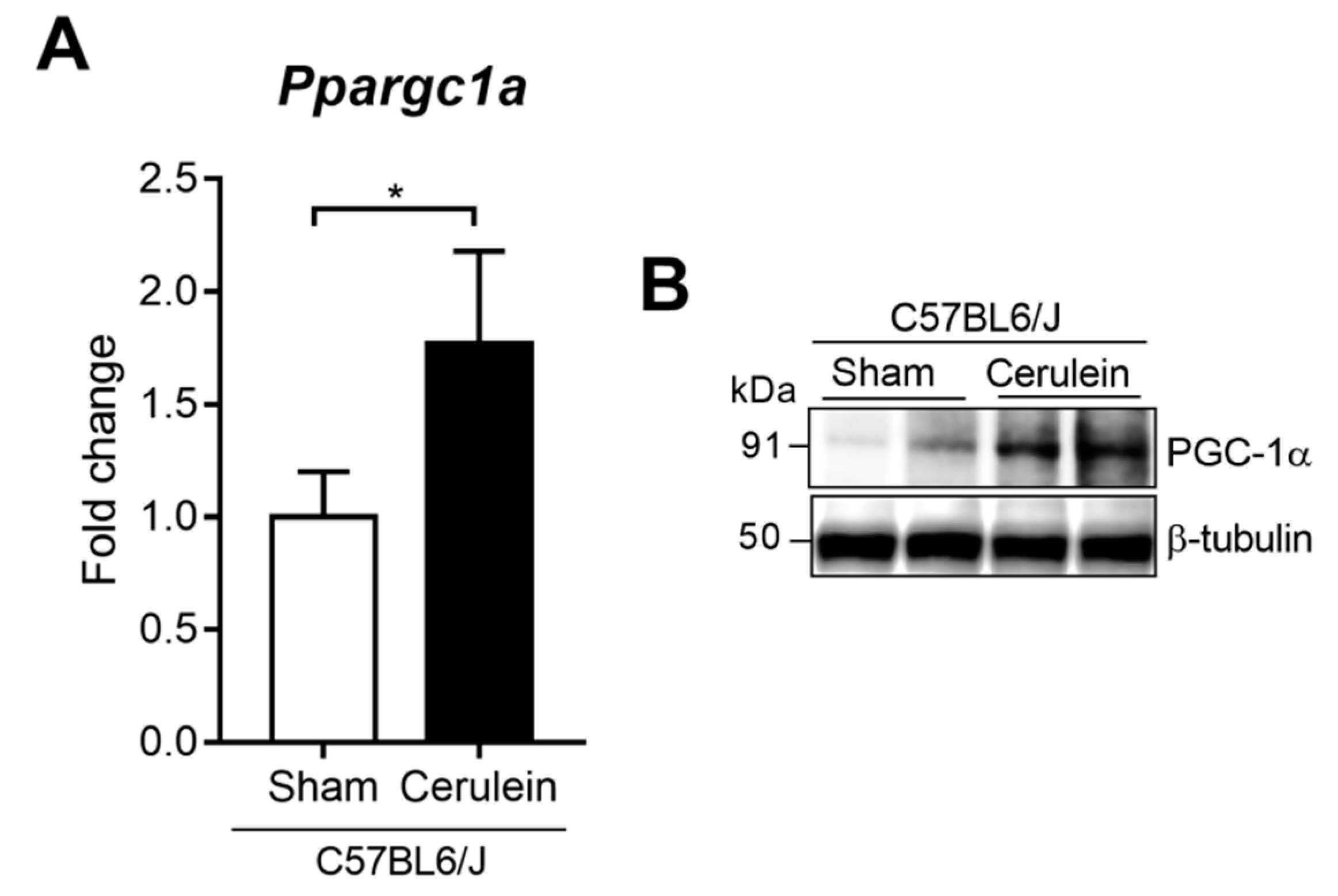 Antioxidants 09 00887 g001