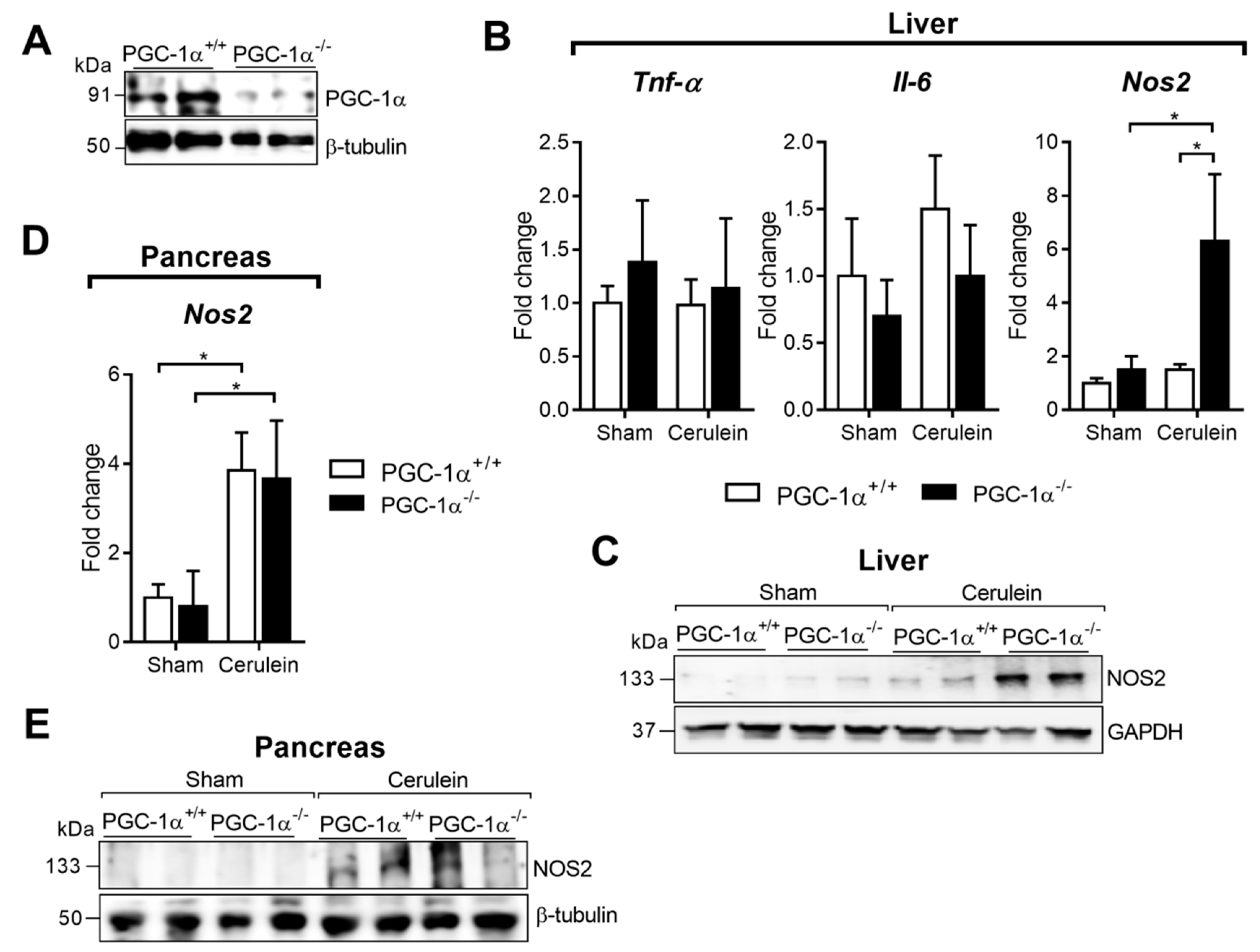 Antioxidants 09 00887 g002