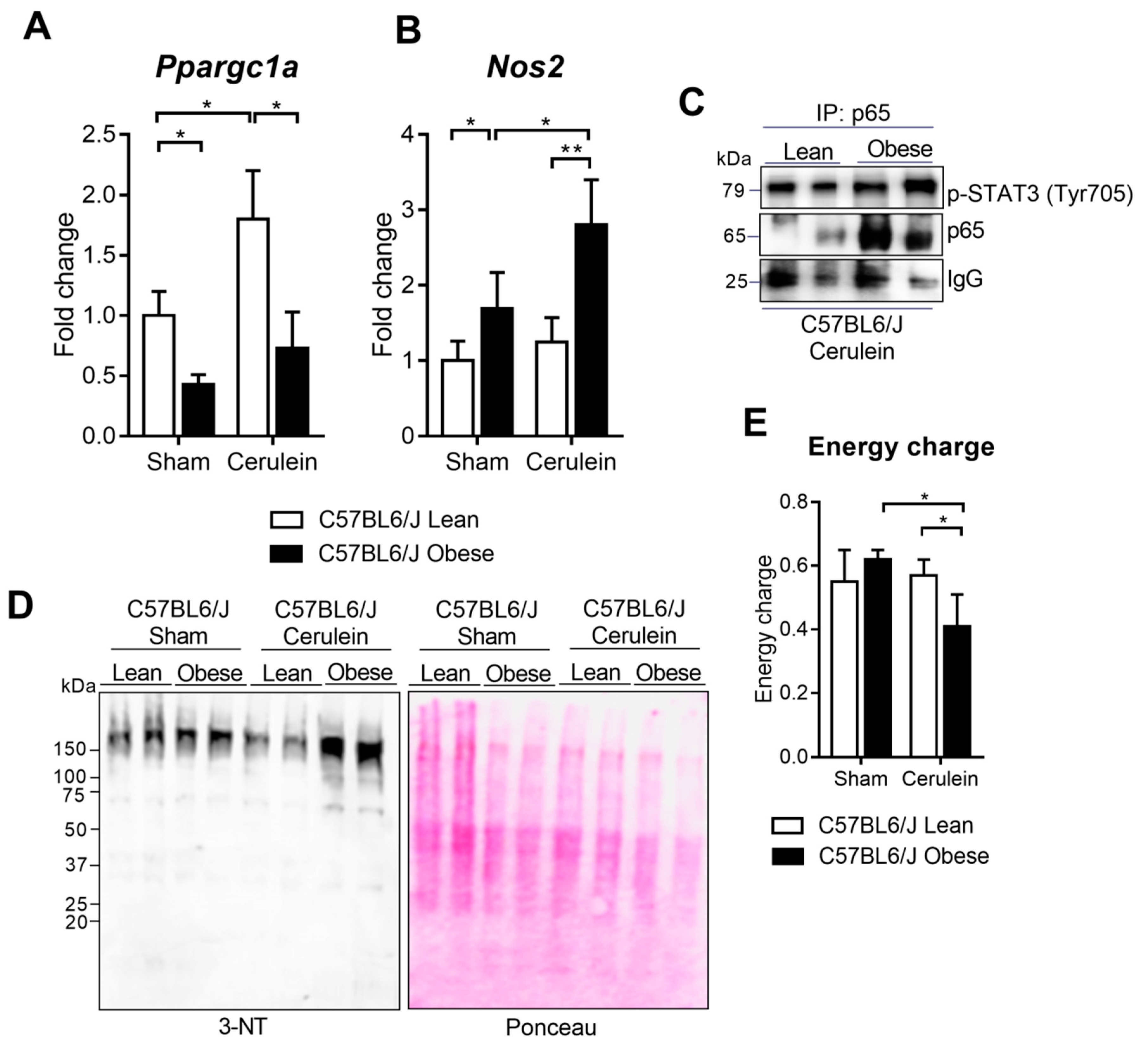 Antioxidants 09 00887 g006