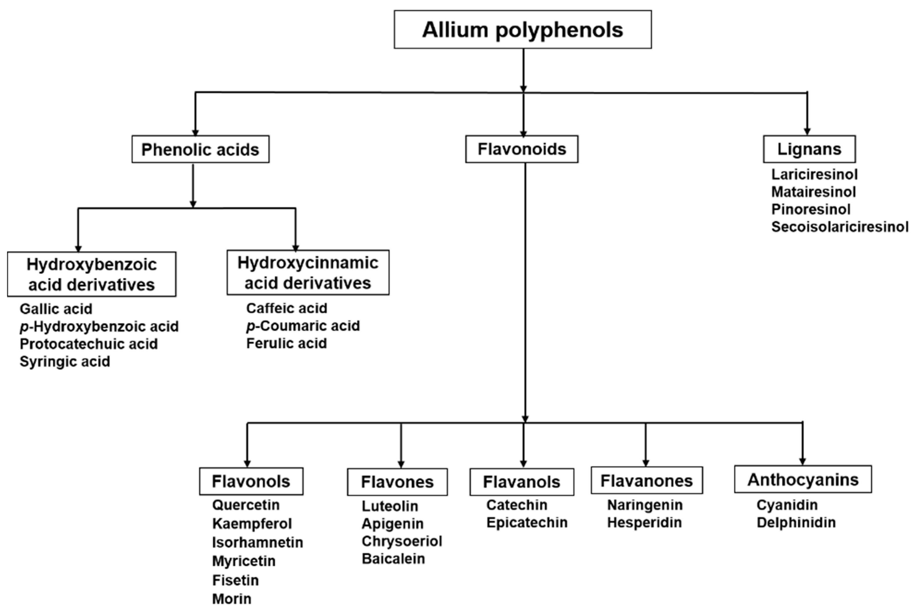 Antioxidants 09 00888 g001