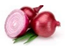 Antioxidants 09 00888 i001