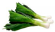 Antioxidants 09 00888 i006