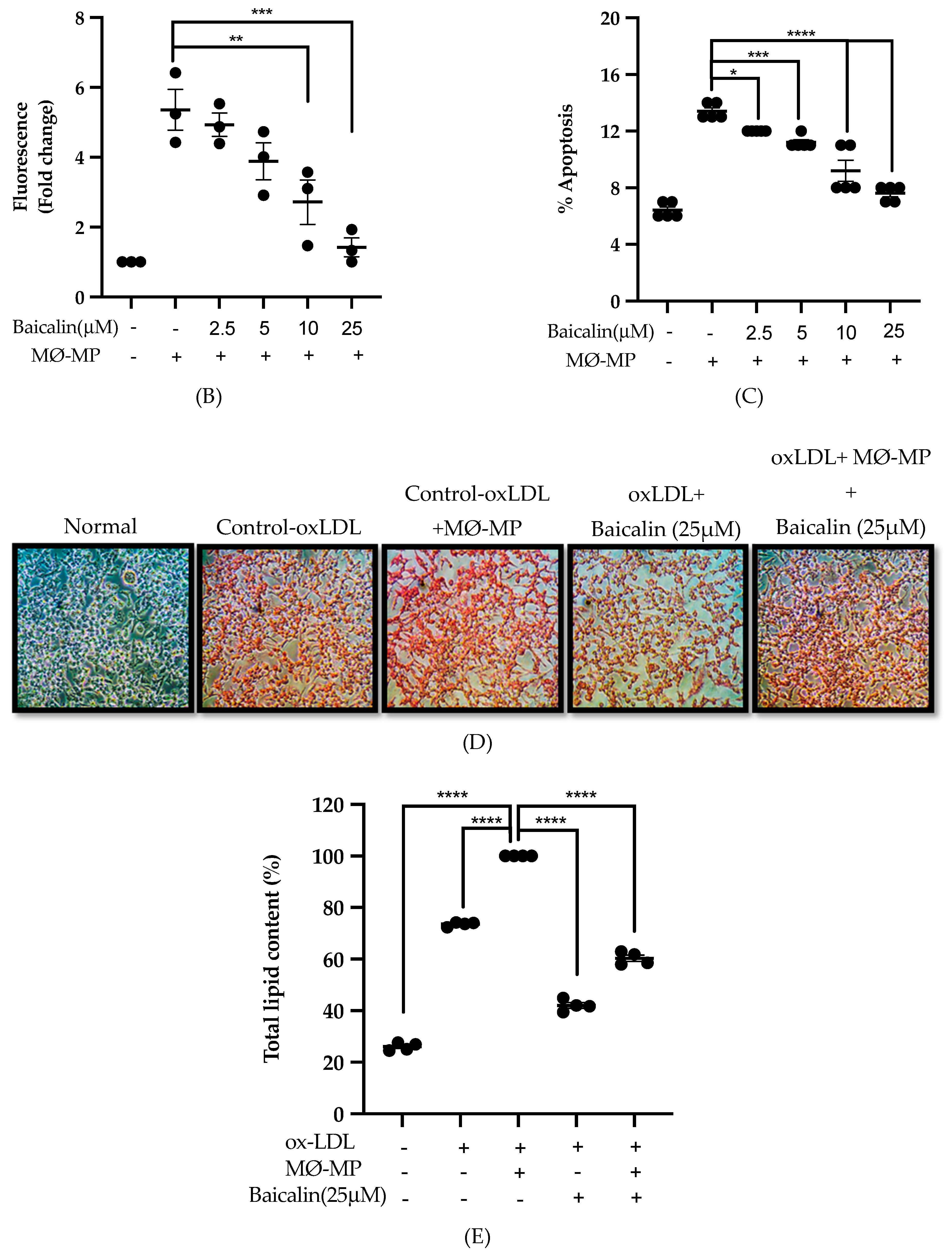 Antioxidants 09 00890 g003b Antioxidants 09 00890 g003b