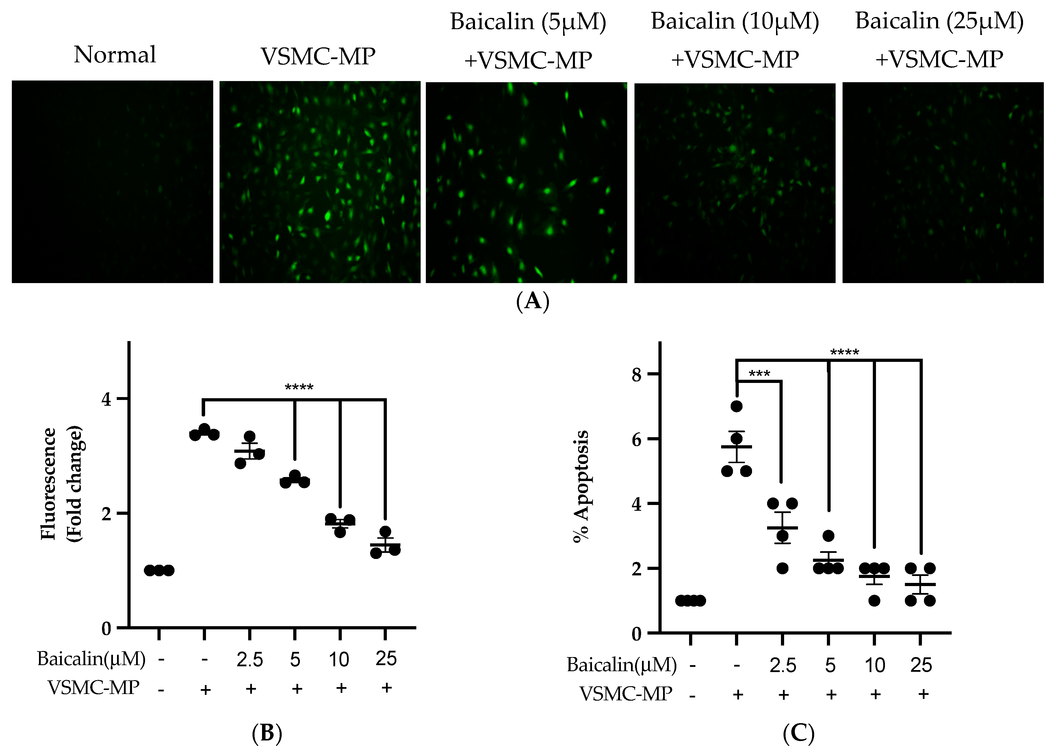 Antioxidants 09 00890 g007 Antioxidants 09 00890 g007