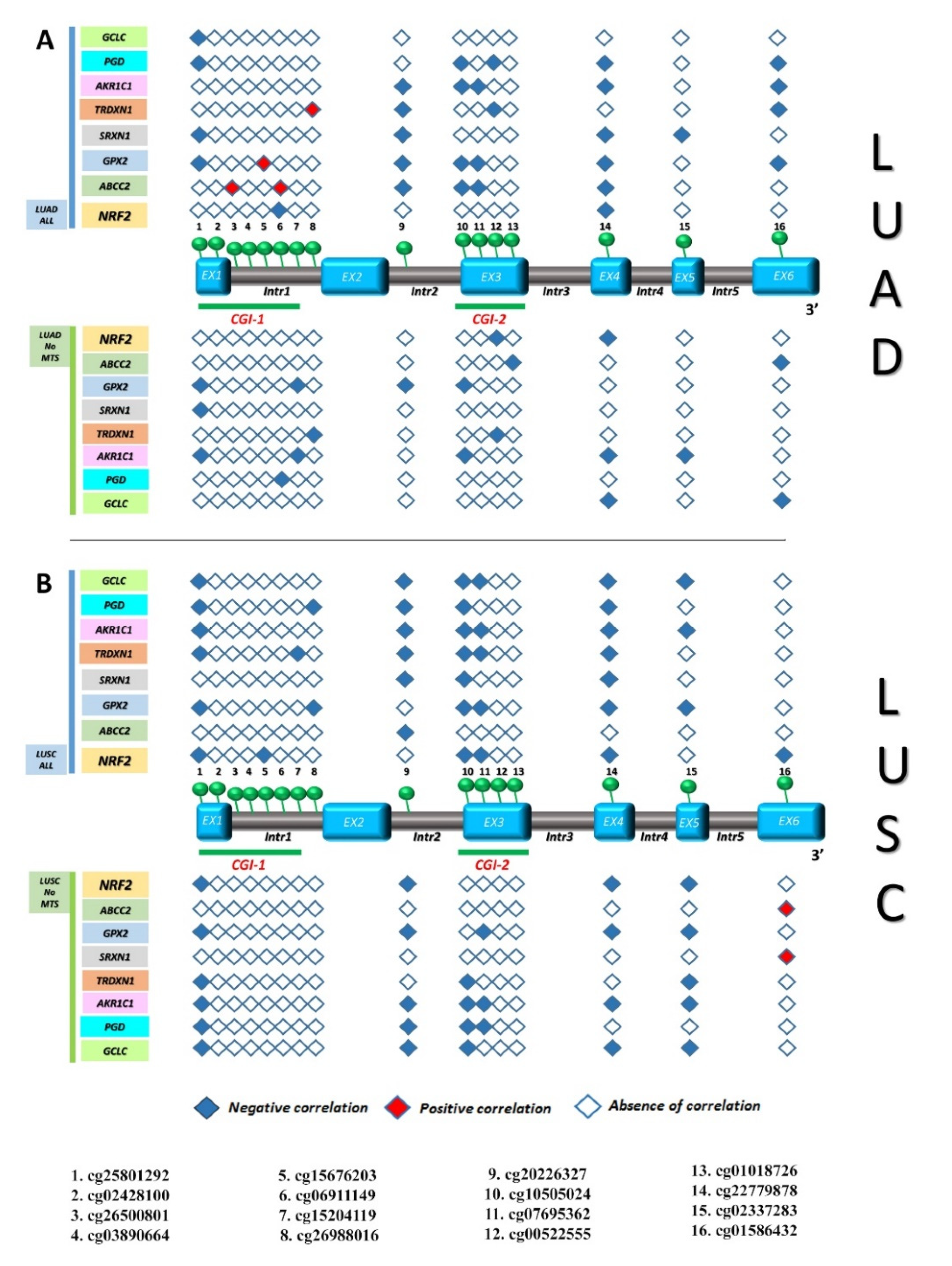 Antioxidants 09 00904 g008