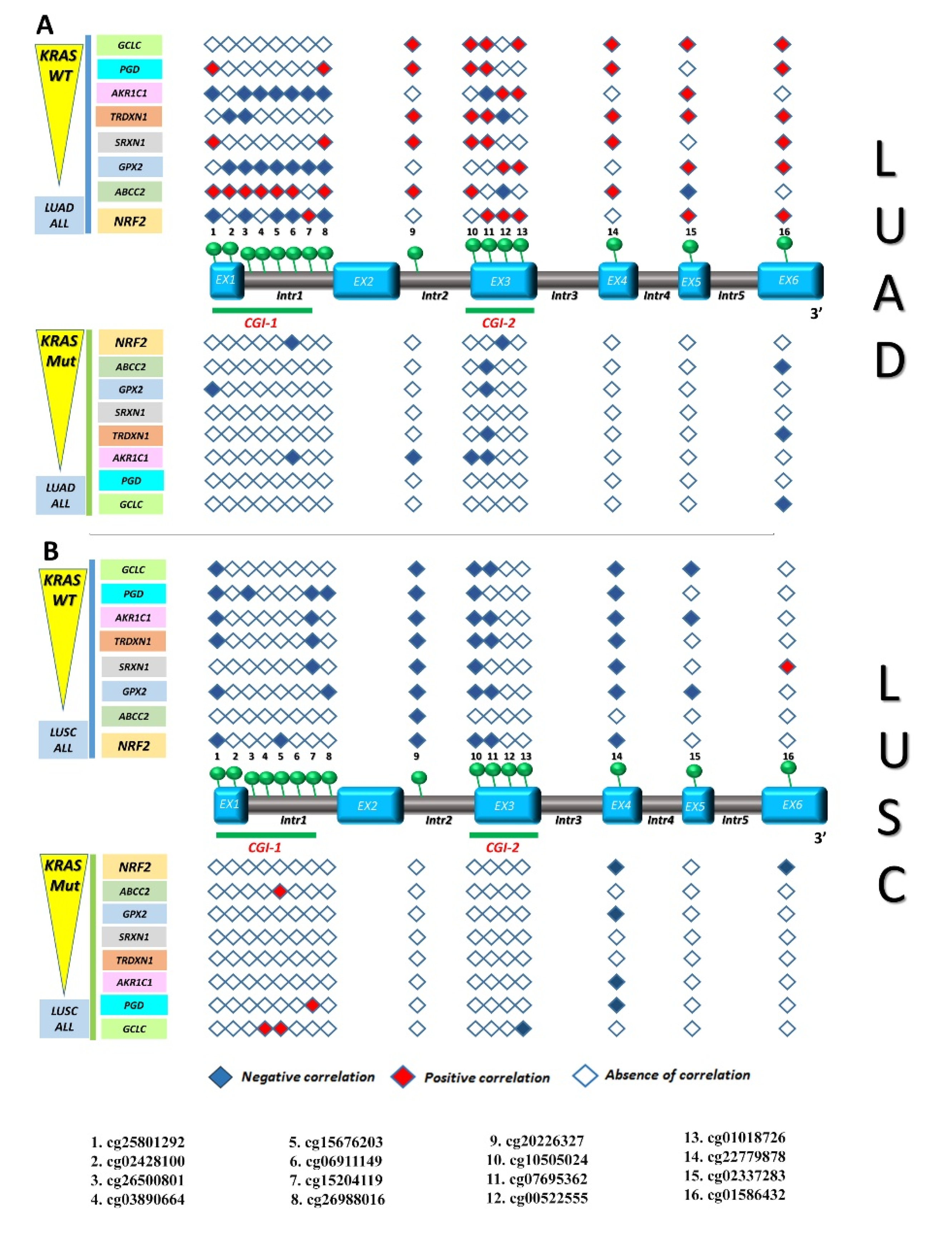 Antioxidants 09 00904 g009