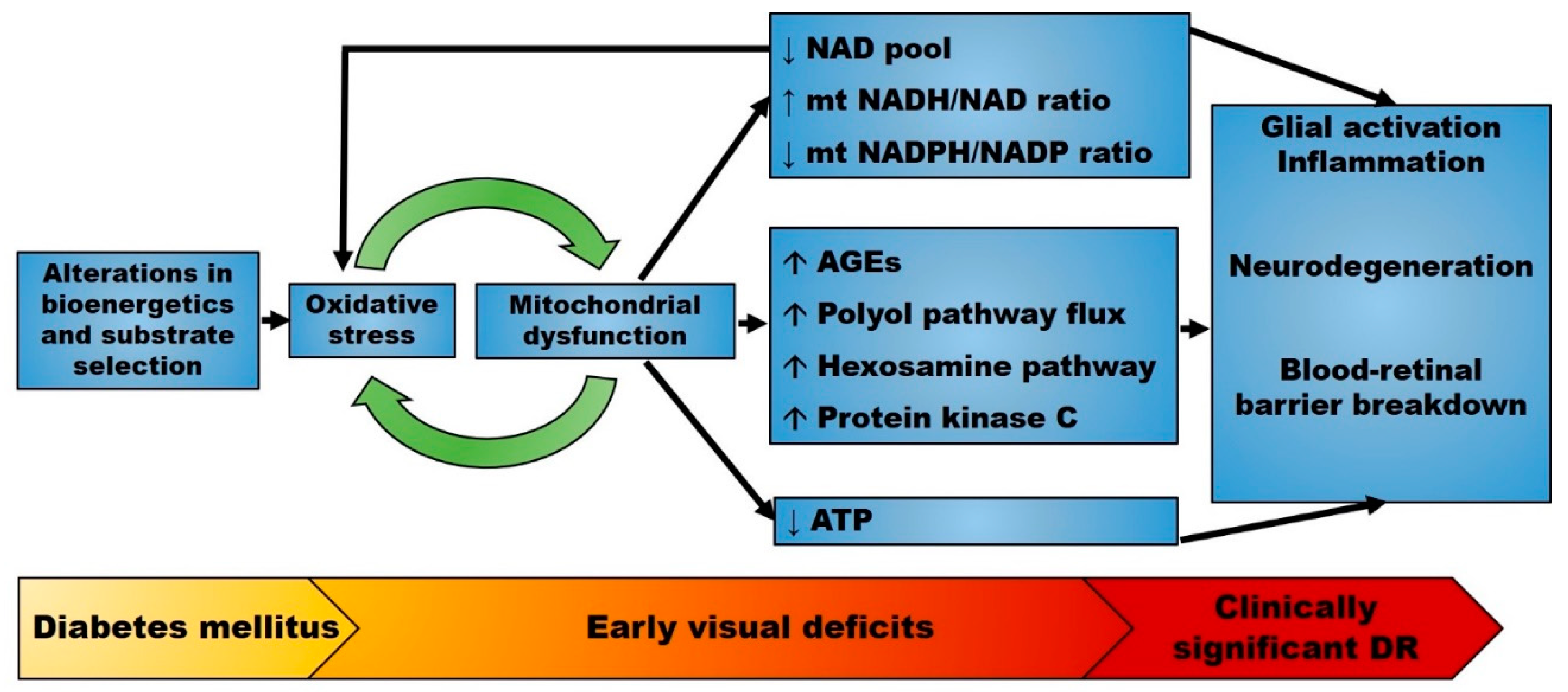 Antioxidants 09 00905 g002