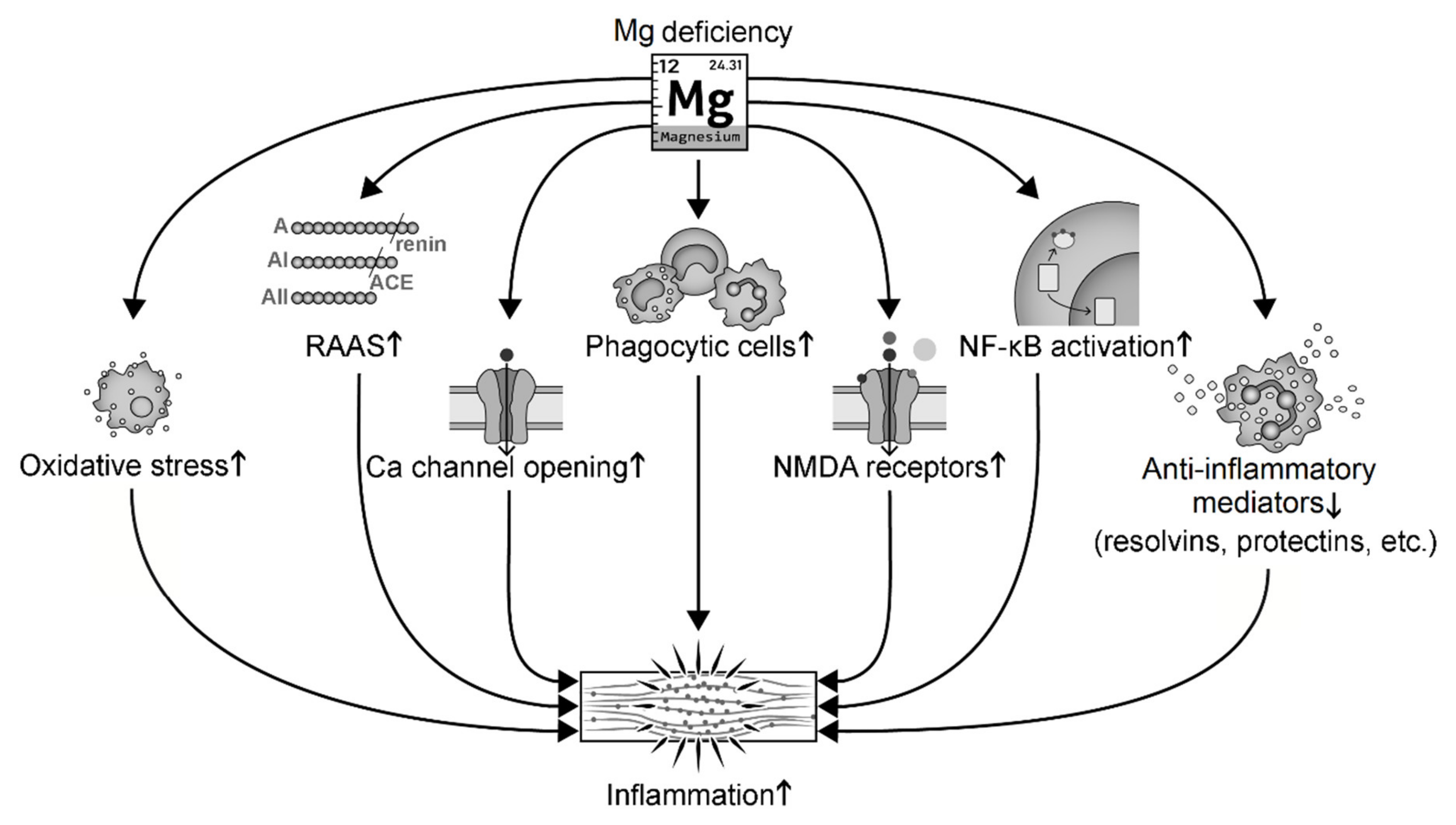 Antioxidants 09 00907 g003