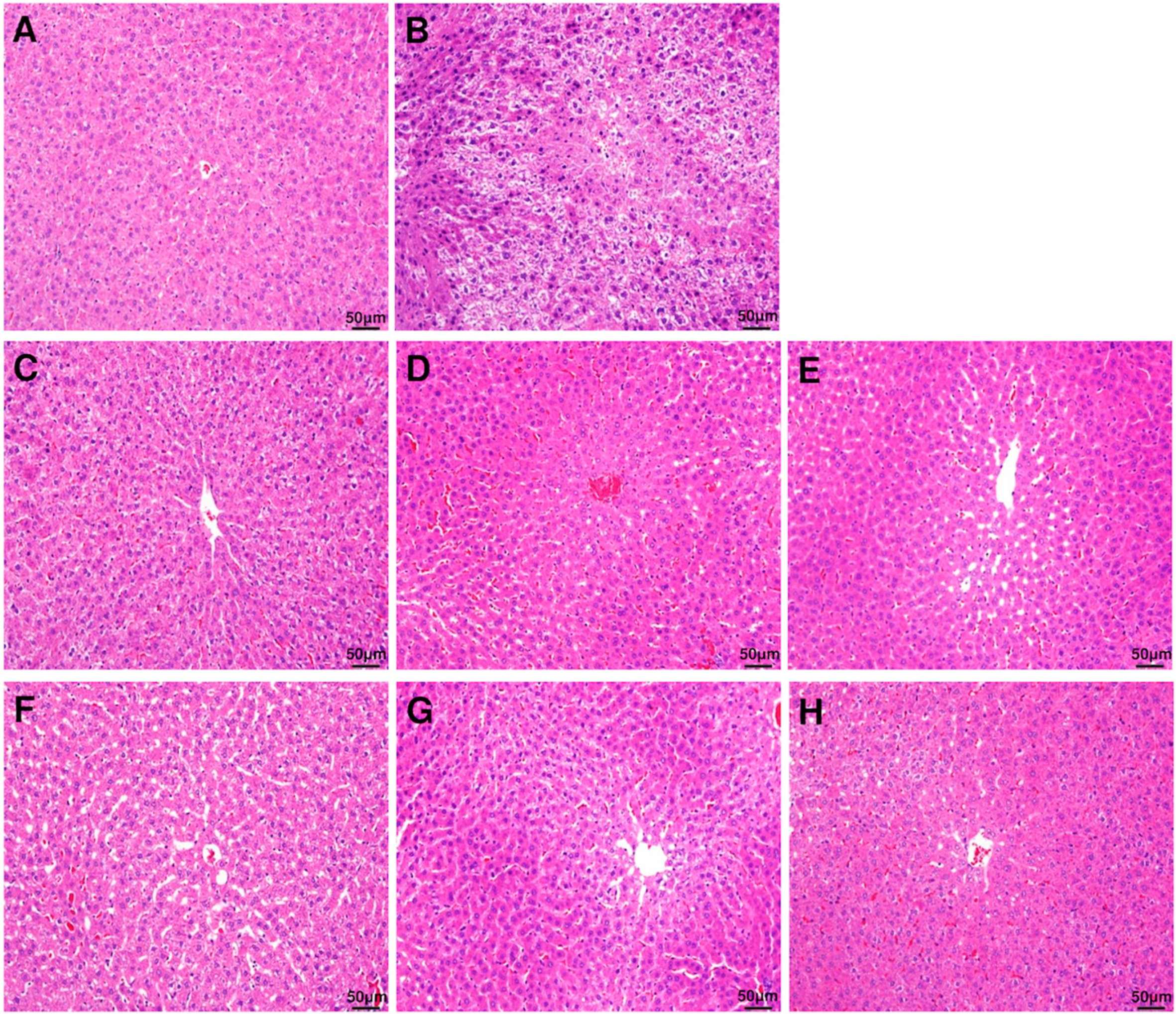 Antioxidants 09 00911 g002