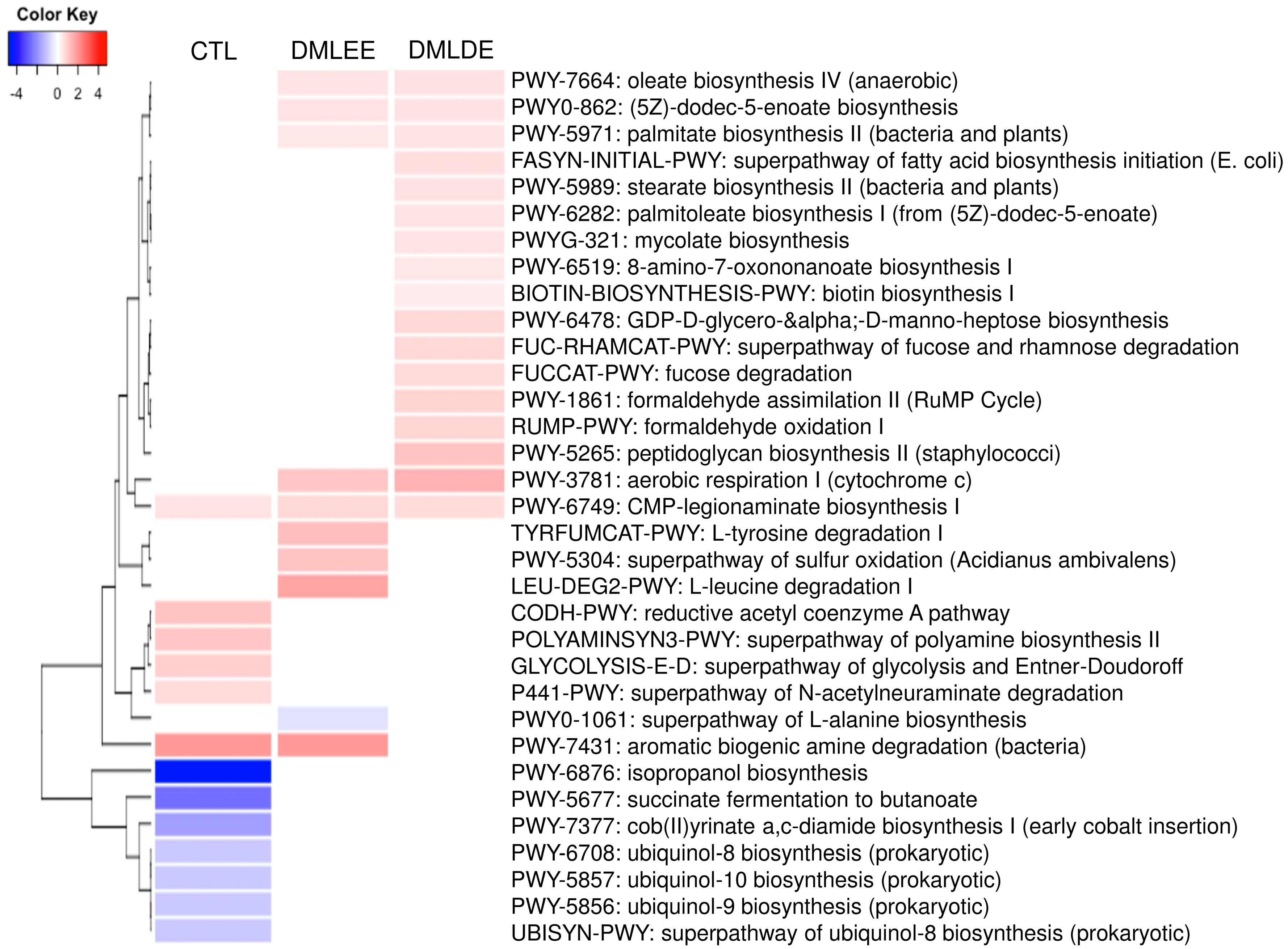 Antioxidants 09 00911 g007