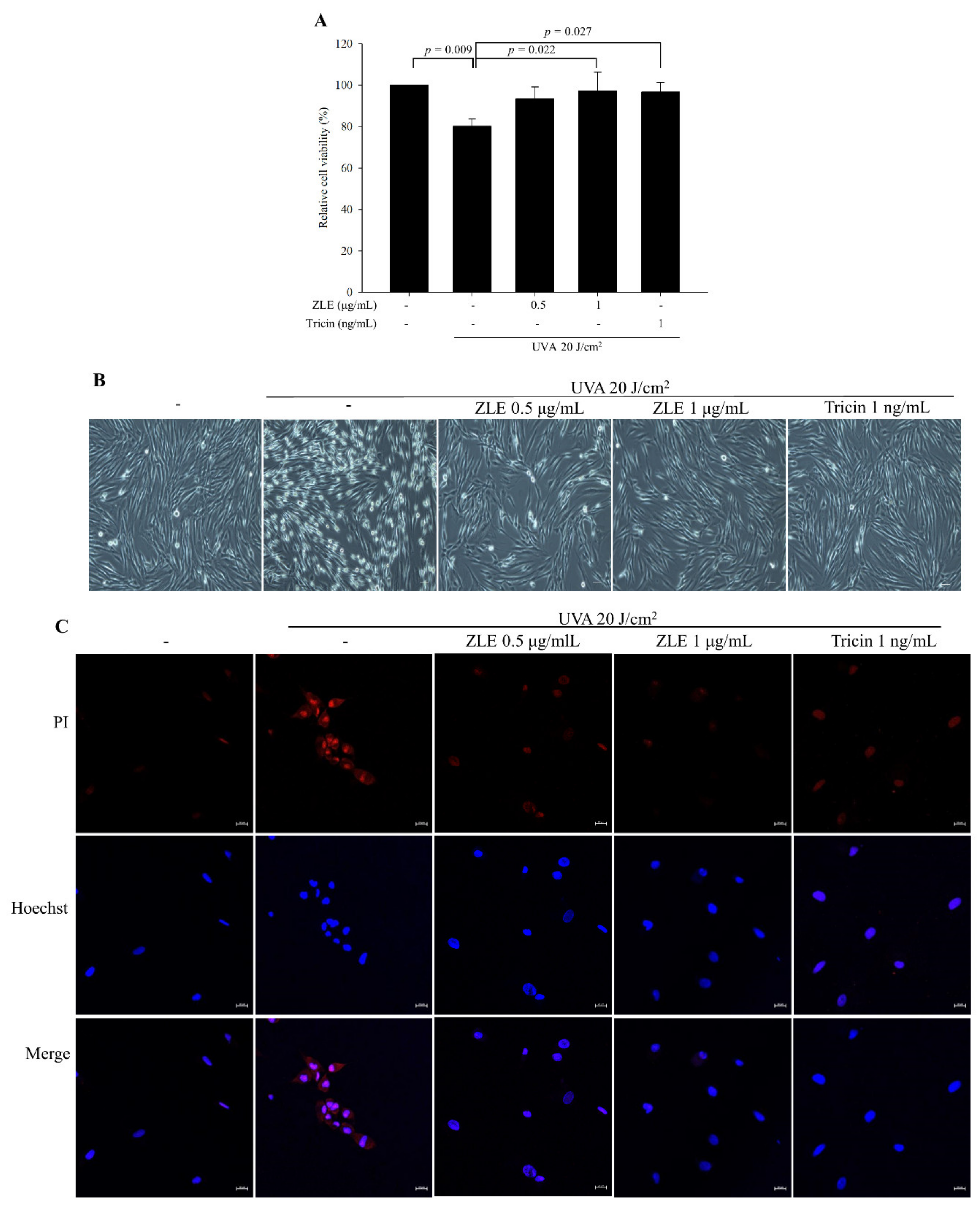 Antioxidants 09 00912 g002