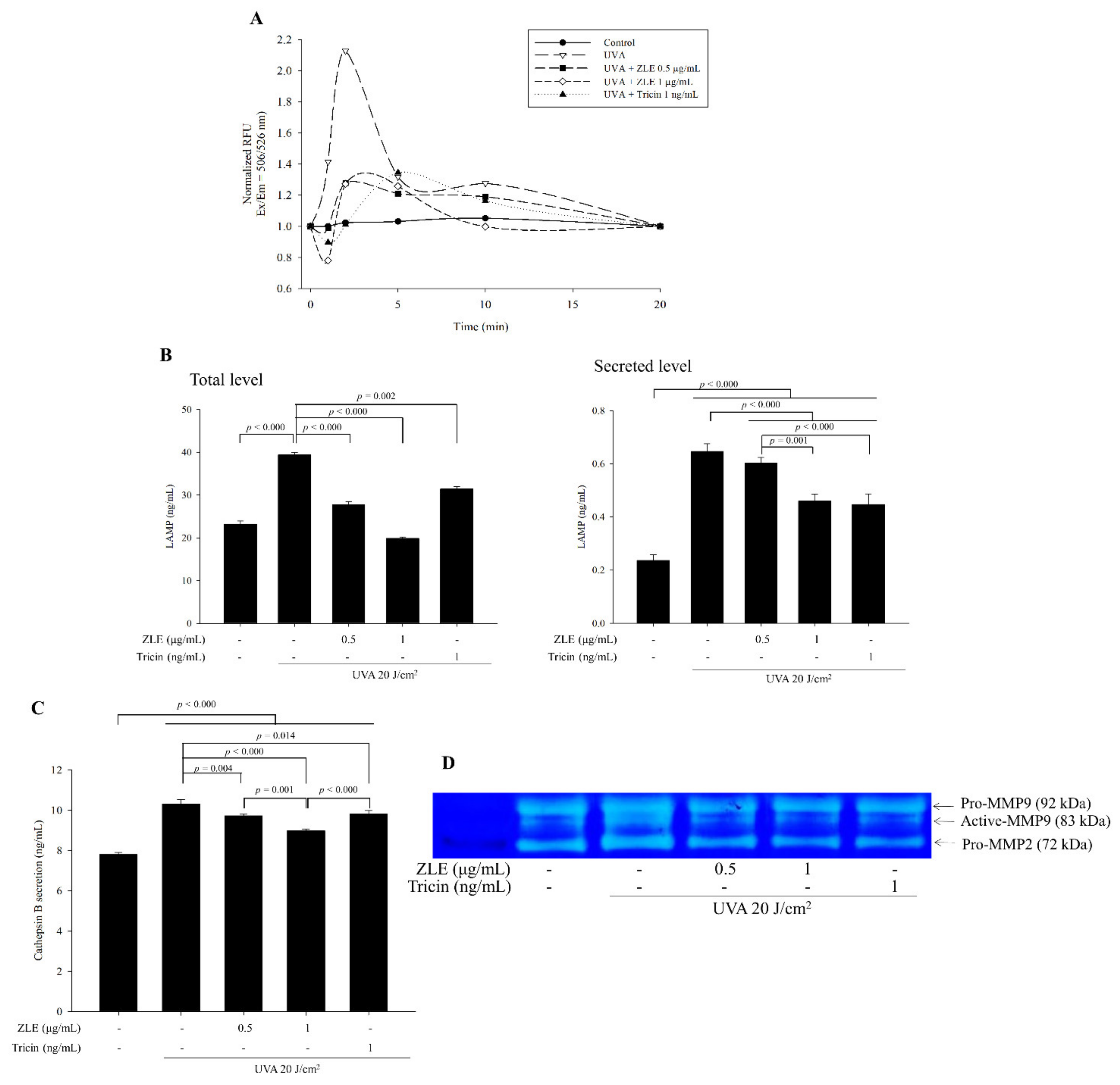 Antioxidants 09 00912 g003