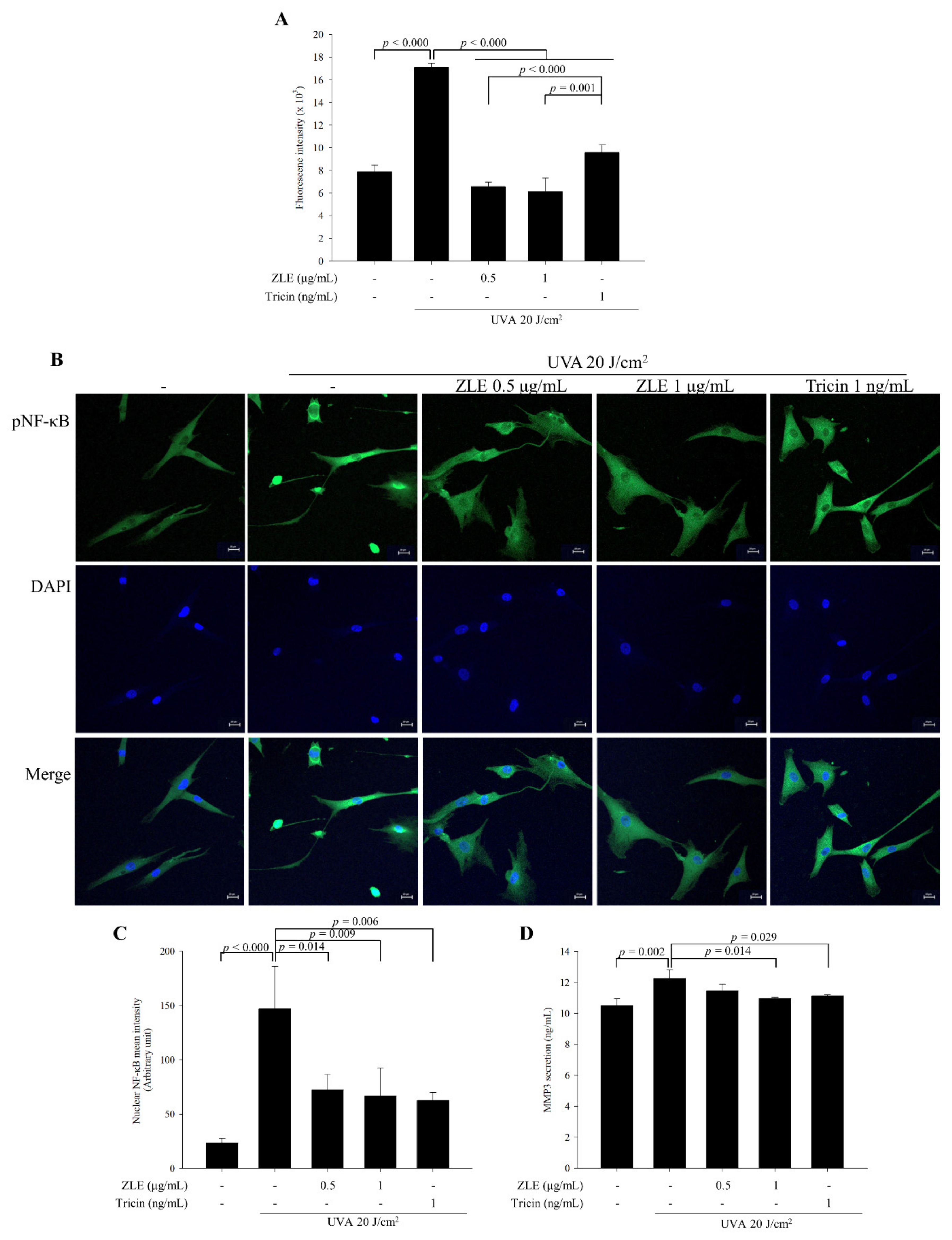 Antioxidants 09 00912 g004