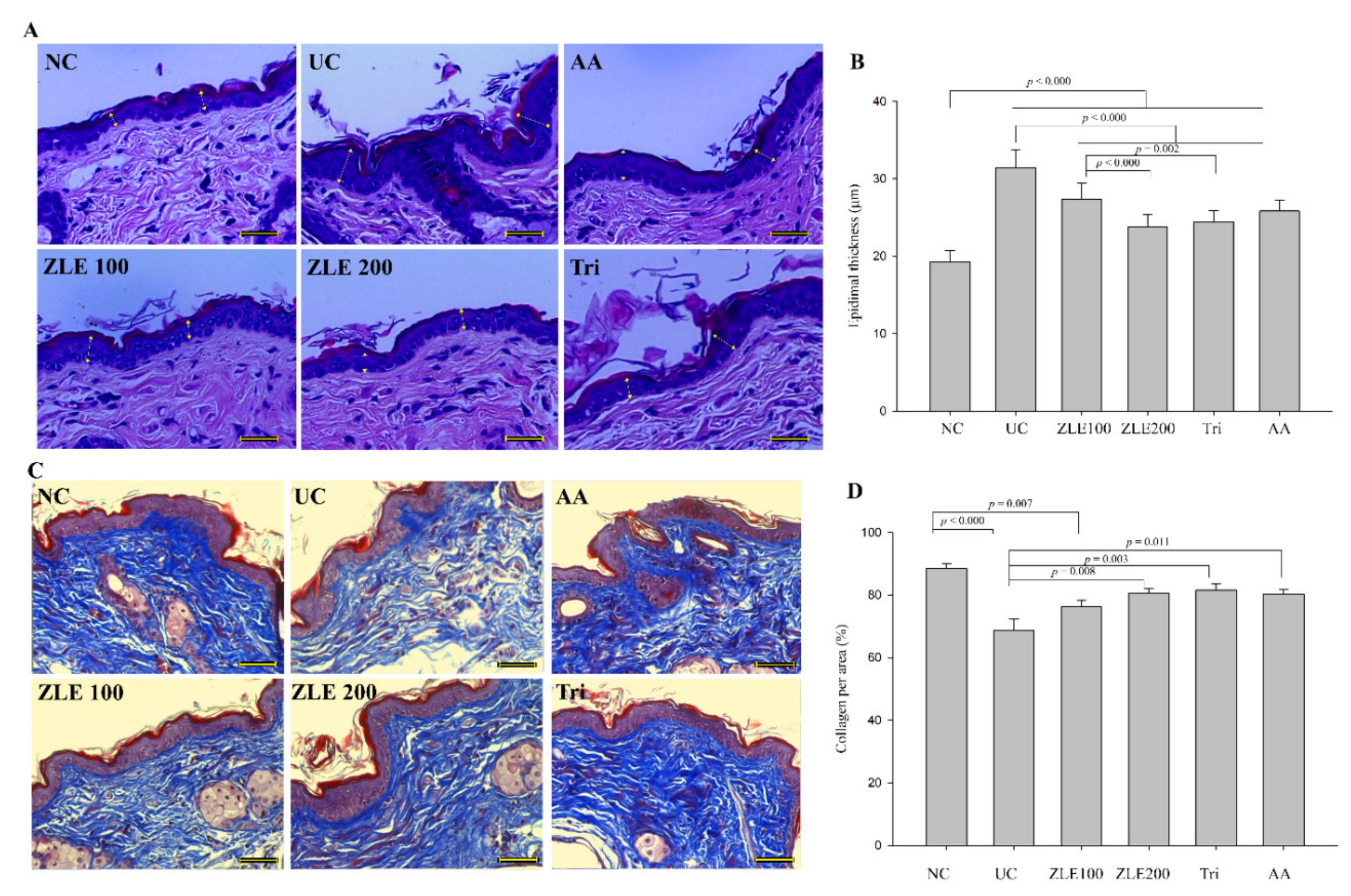 Antioxidants 09 00912 g009