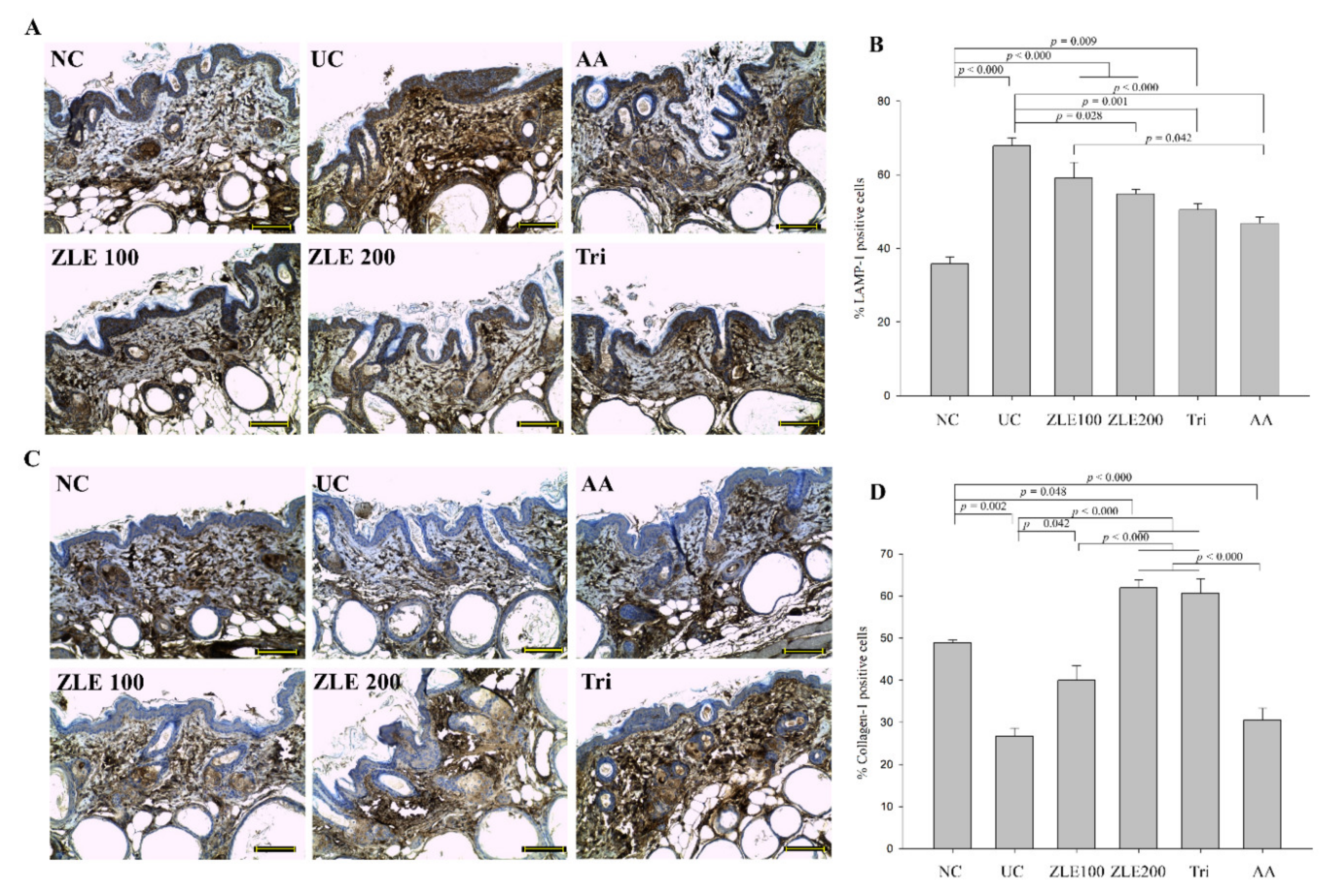 Antioxidants 09 00912 g011