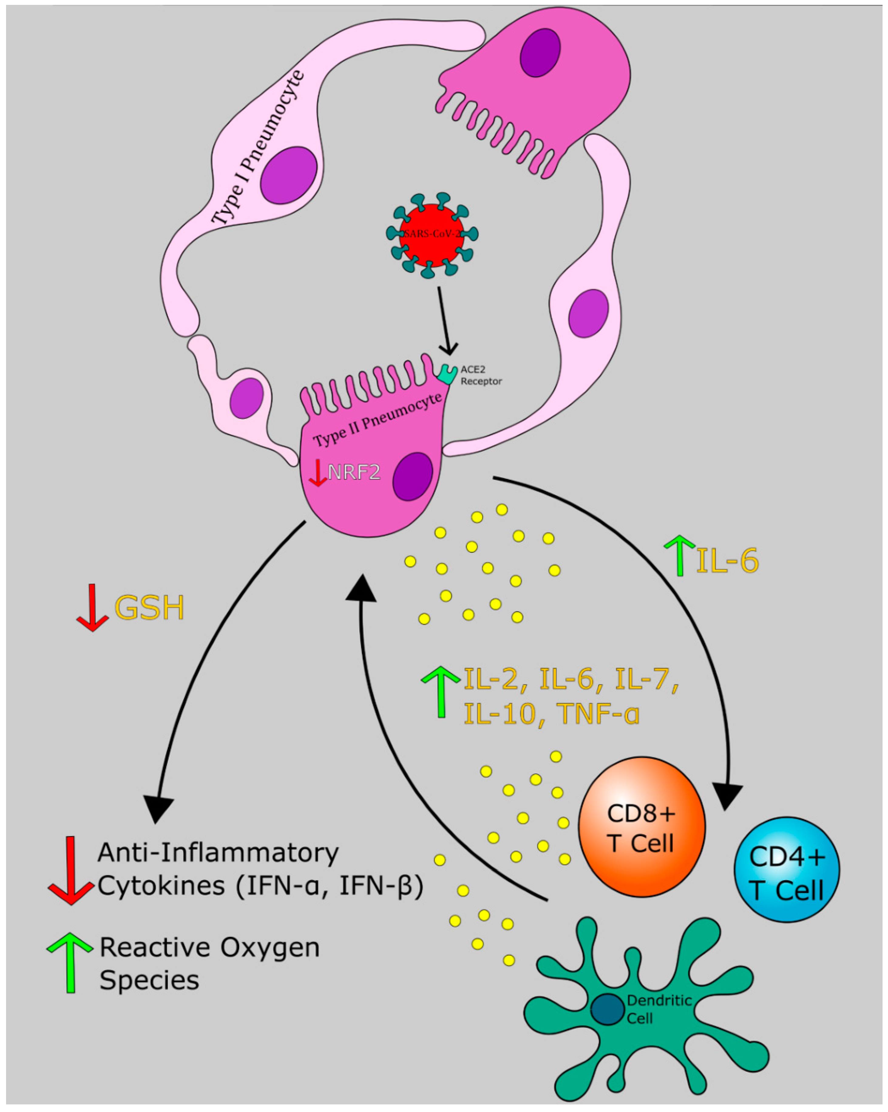 Antioxidants 09 00914 g001