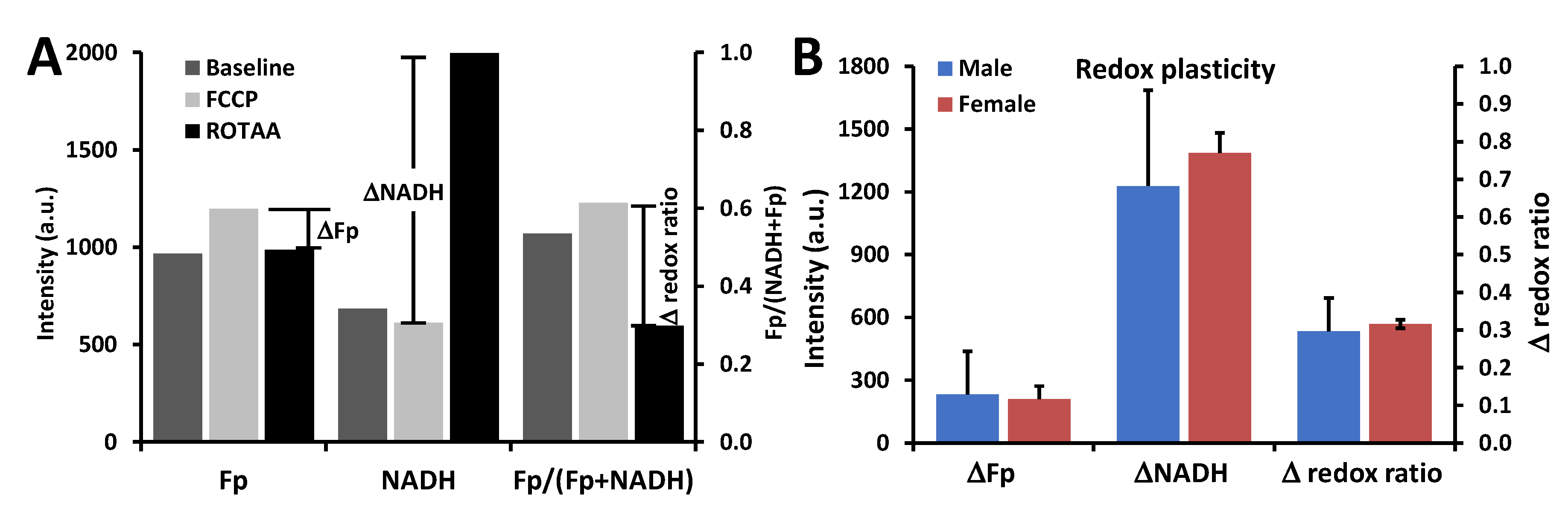 Antioxidants 09 00915 g004