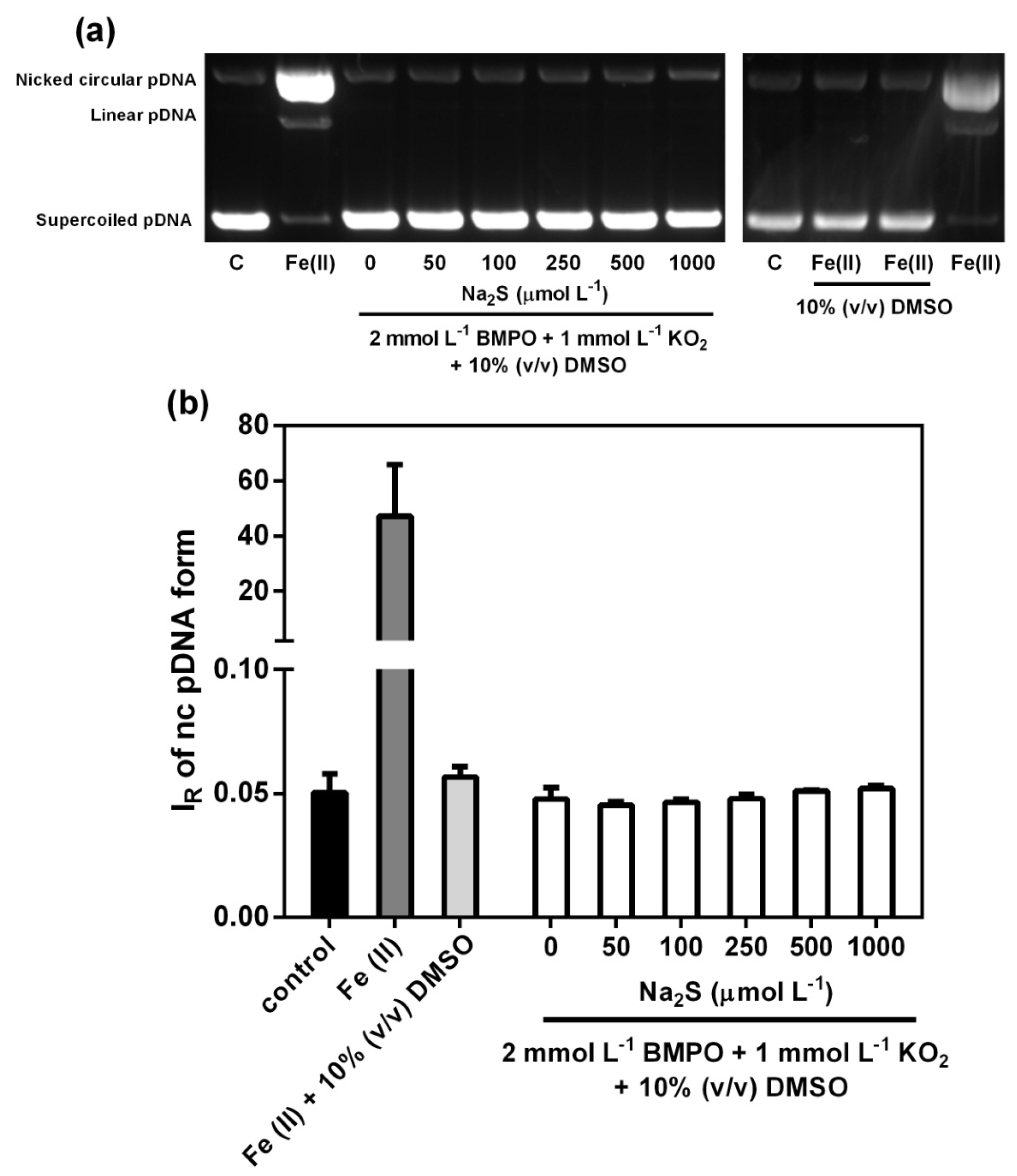 Antioxidants 09 00918 g006