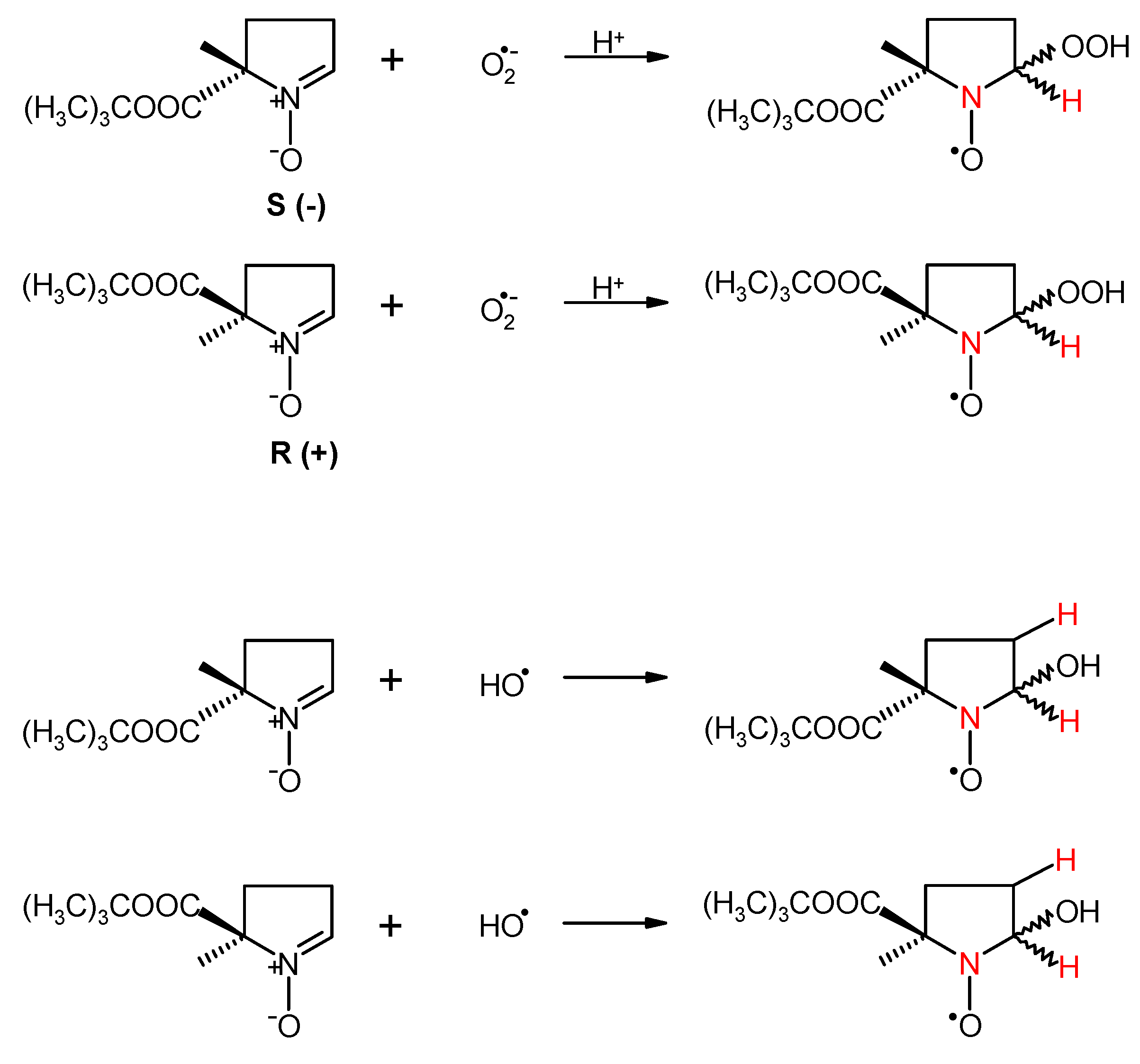 Antioxidants 09 00918 sch001
