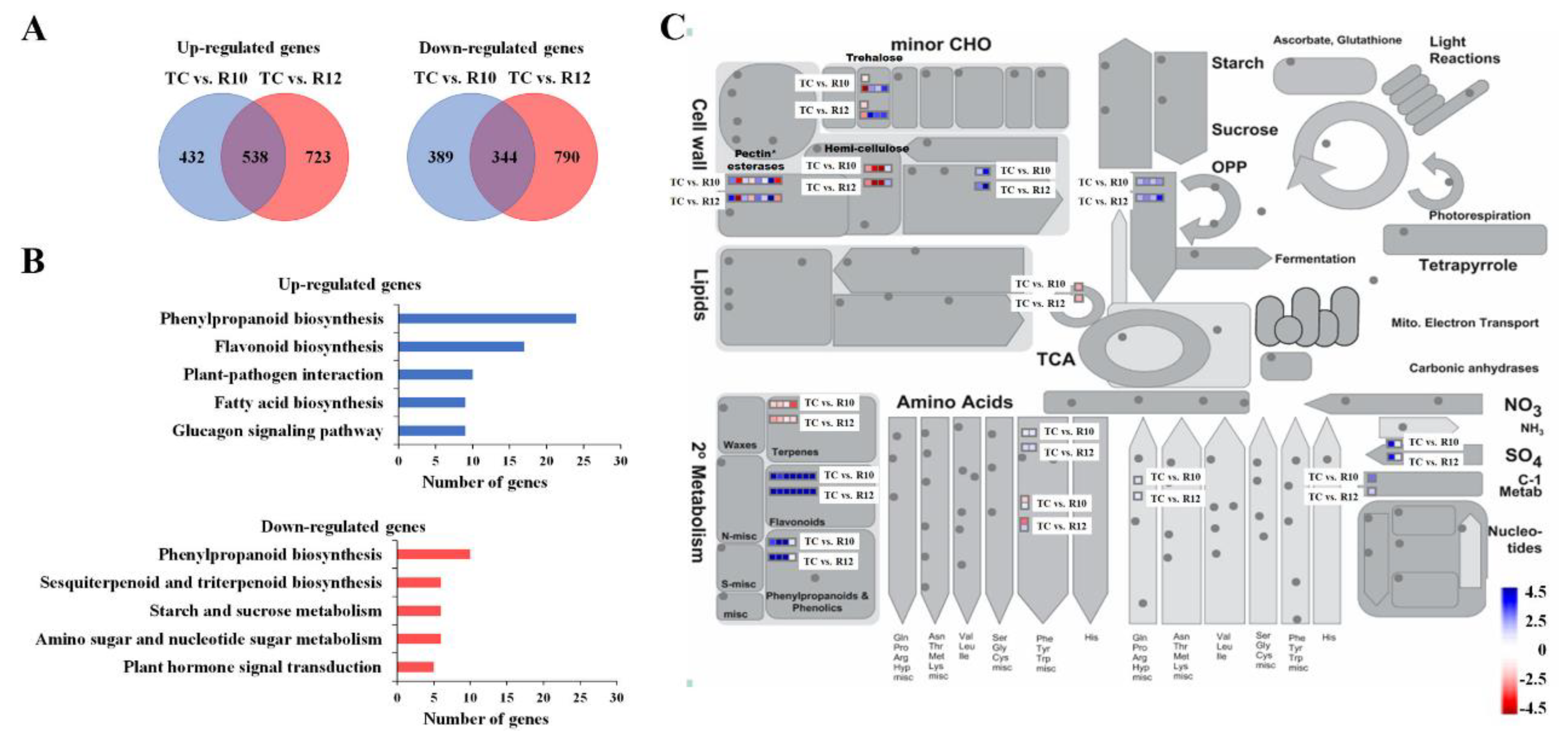 Antioxidants 09 00922 g002