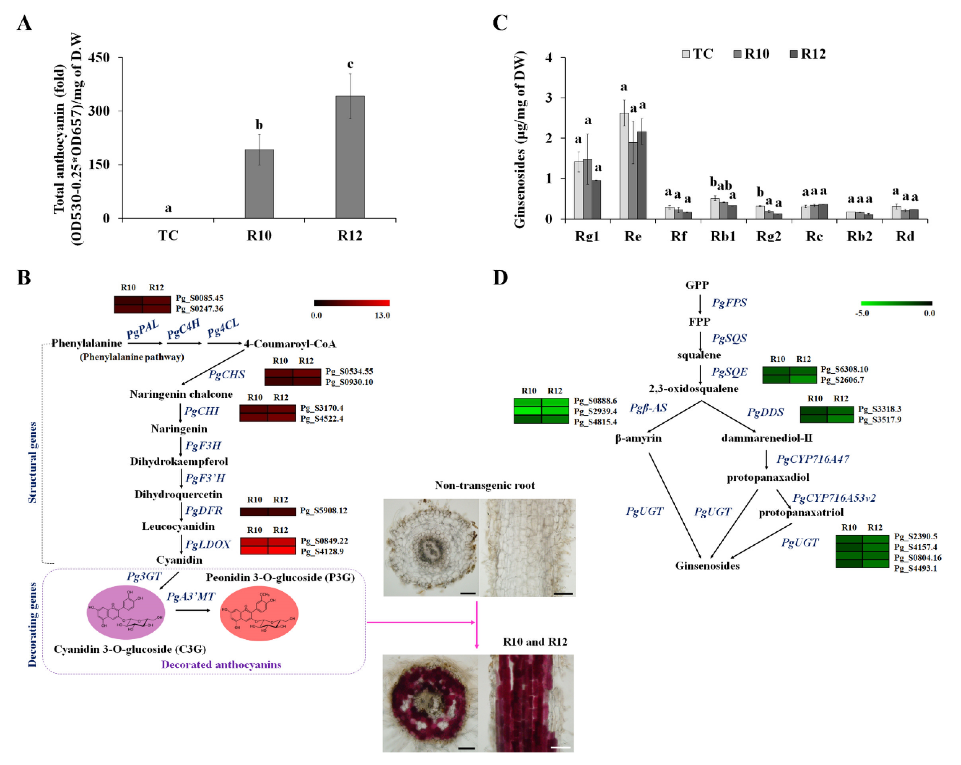 Antioxidants 09 00922 g003