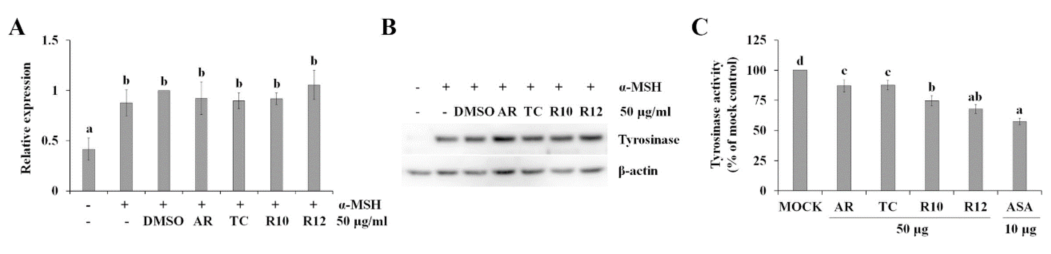 Antioxidants 09 00922 g006