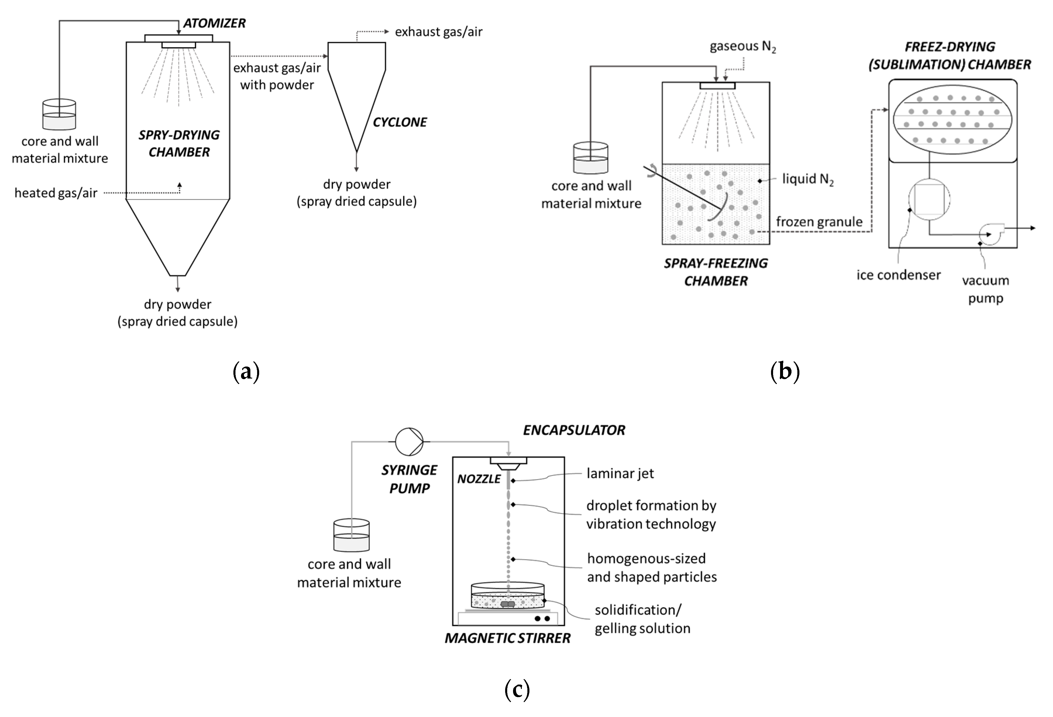 Antioxidants 09 00923 g005