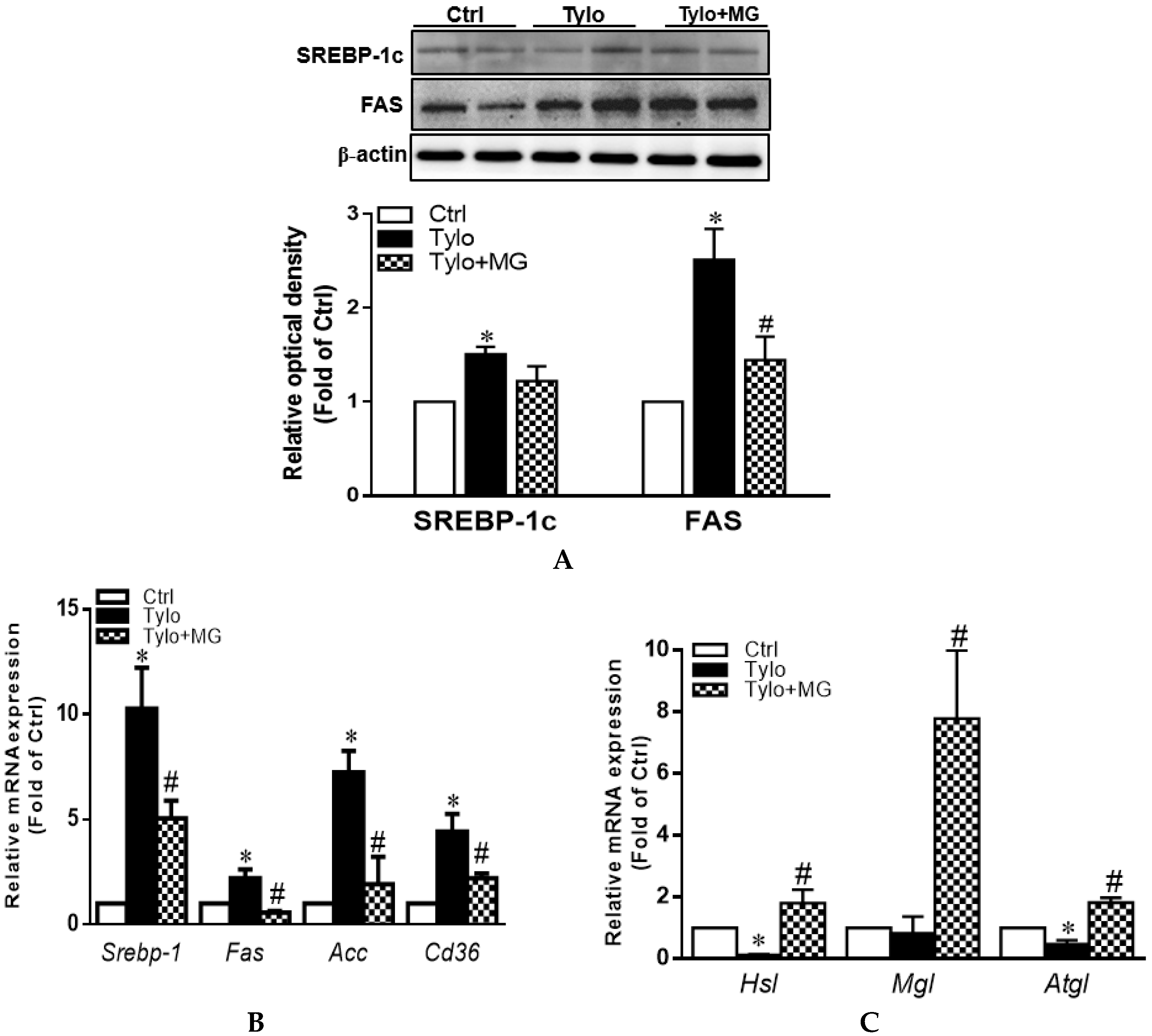 Antioxidants 09 00924 g002
