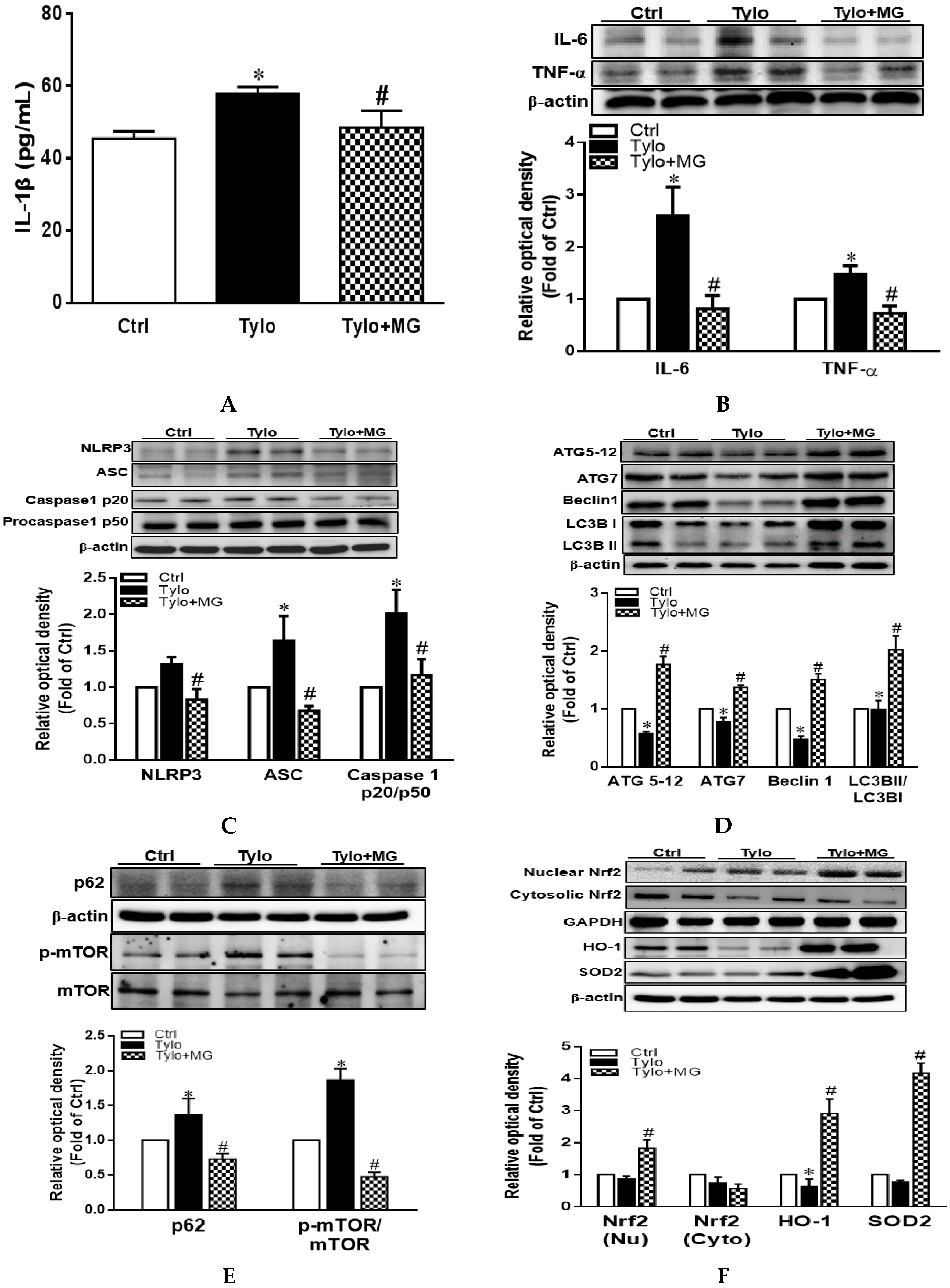 Antioxidants 09 00924 g003