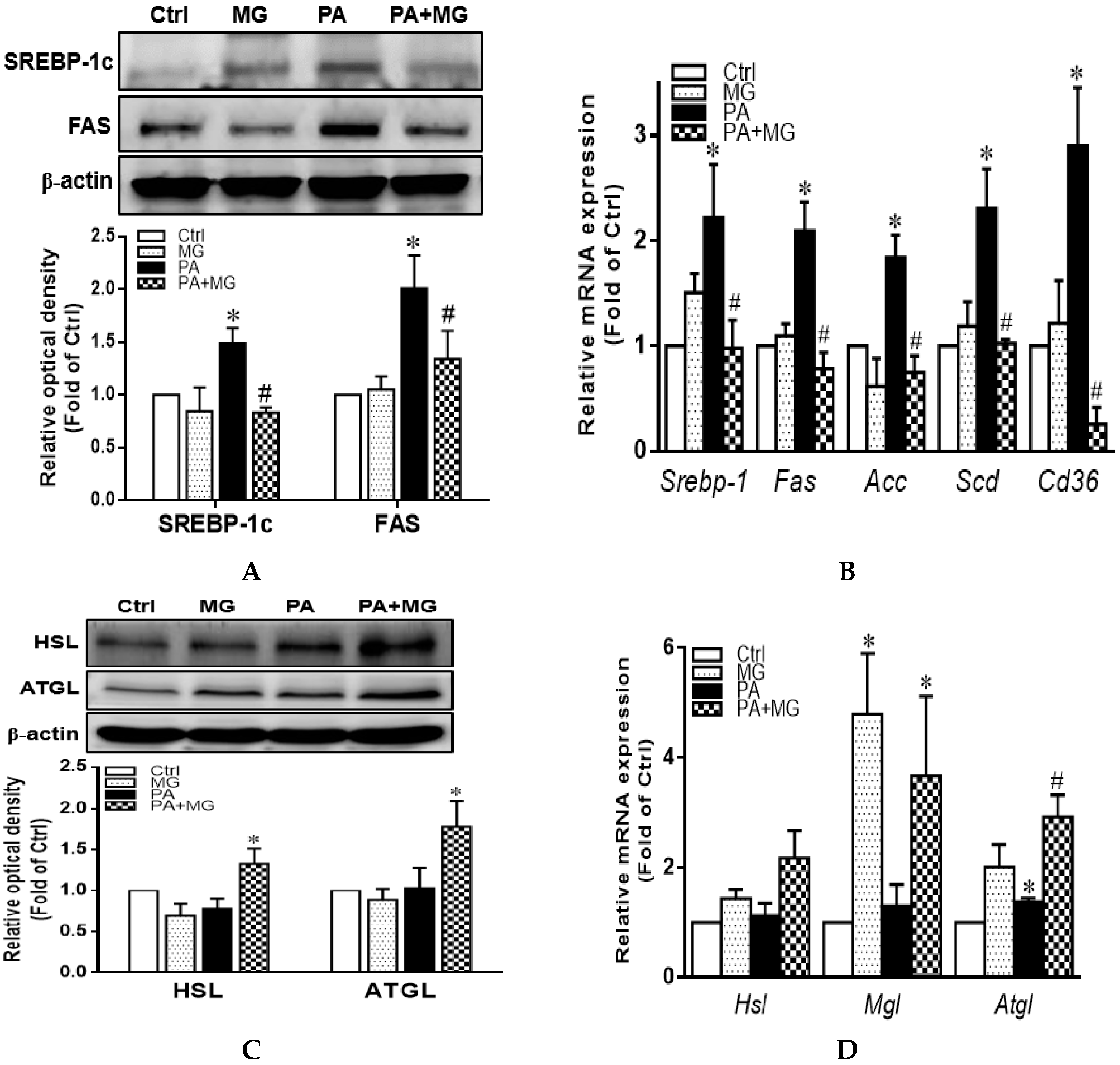 Antioxidants 09 00924 g005