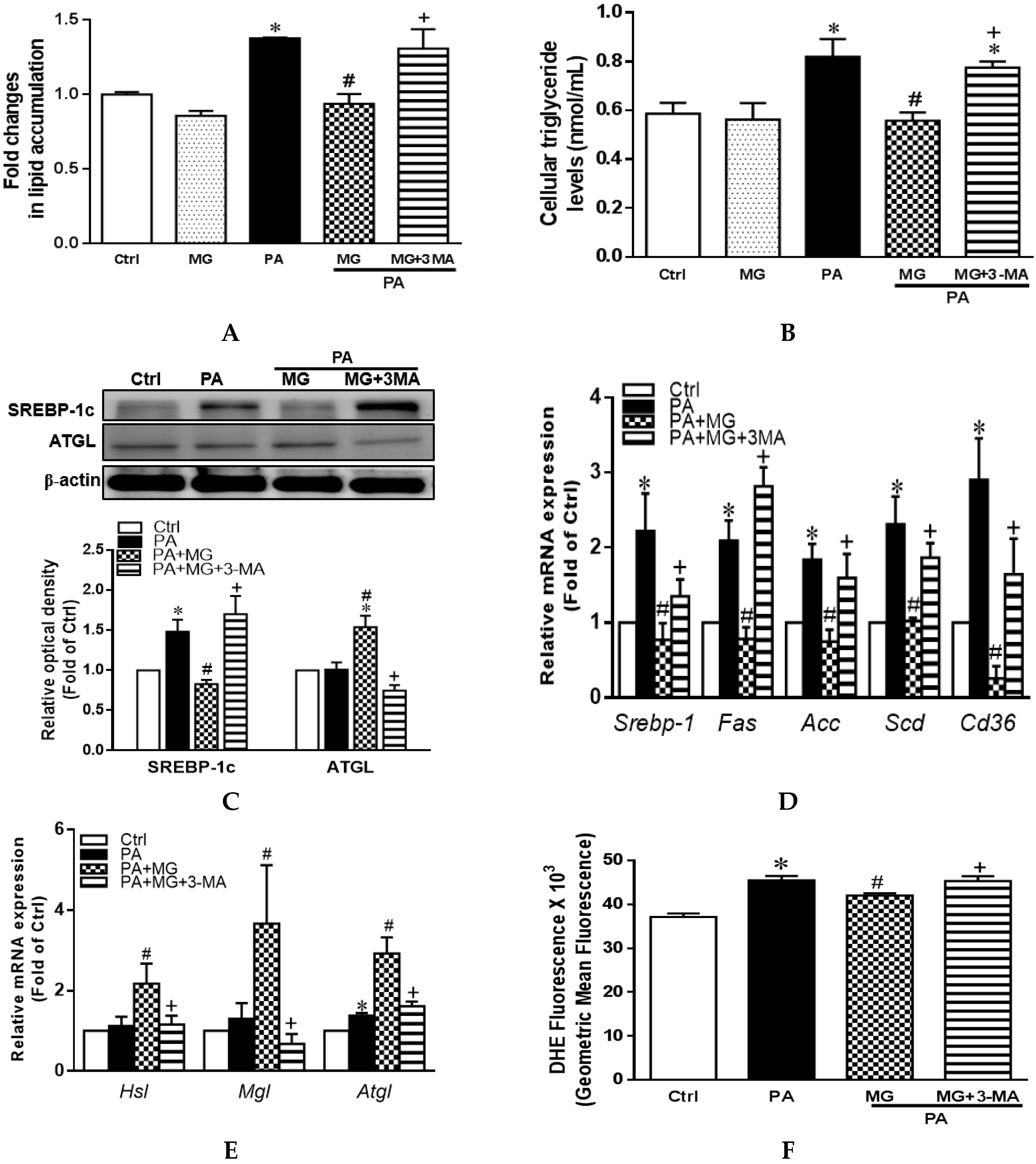 Antioxidants 09 00924 g007a